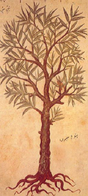 no full size  illustration available (3a)