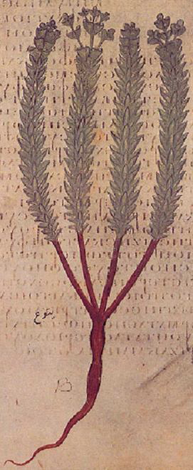 no full size  illustration available (3a)