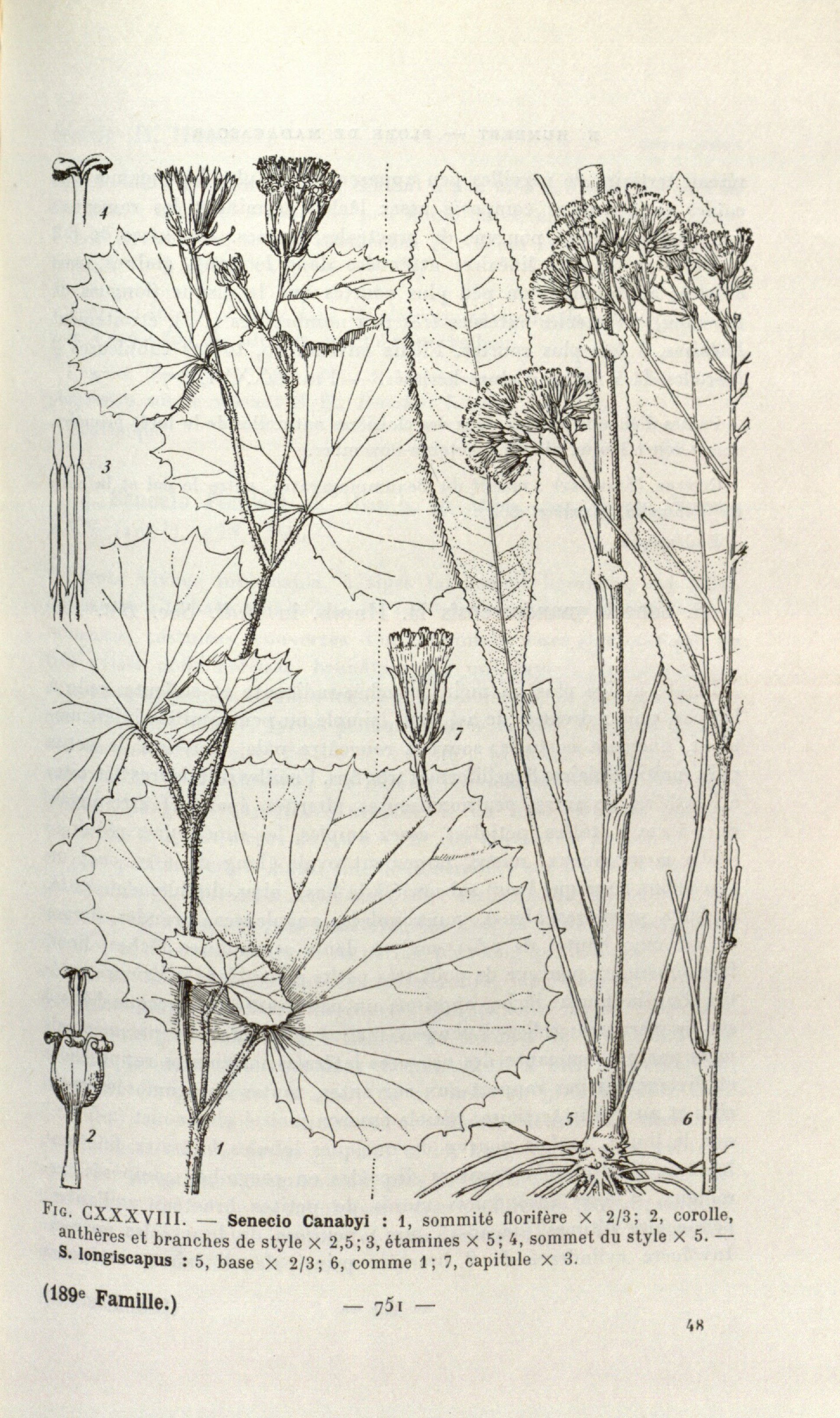 no full size  illustration available (3a)