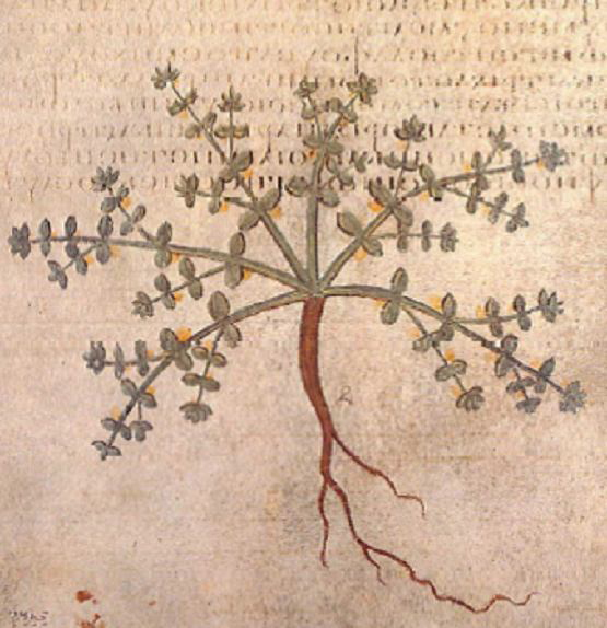 no full size  illustration available (3a)