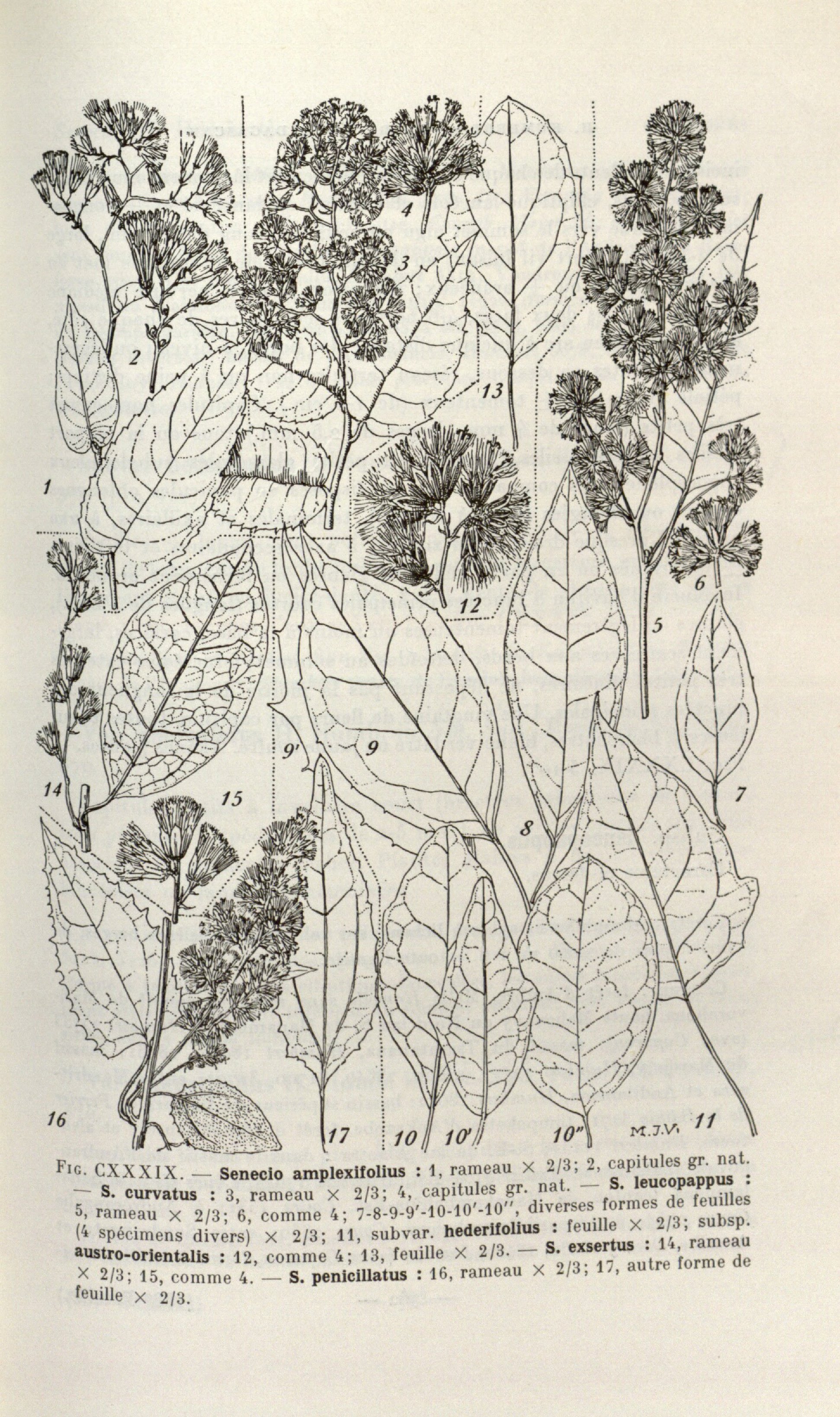 no full size  illustration available (3a)