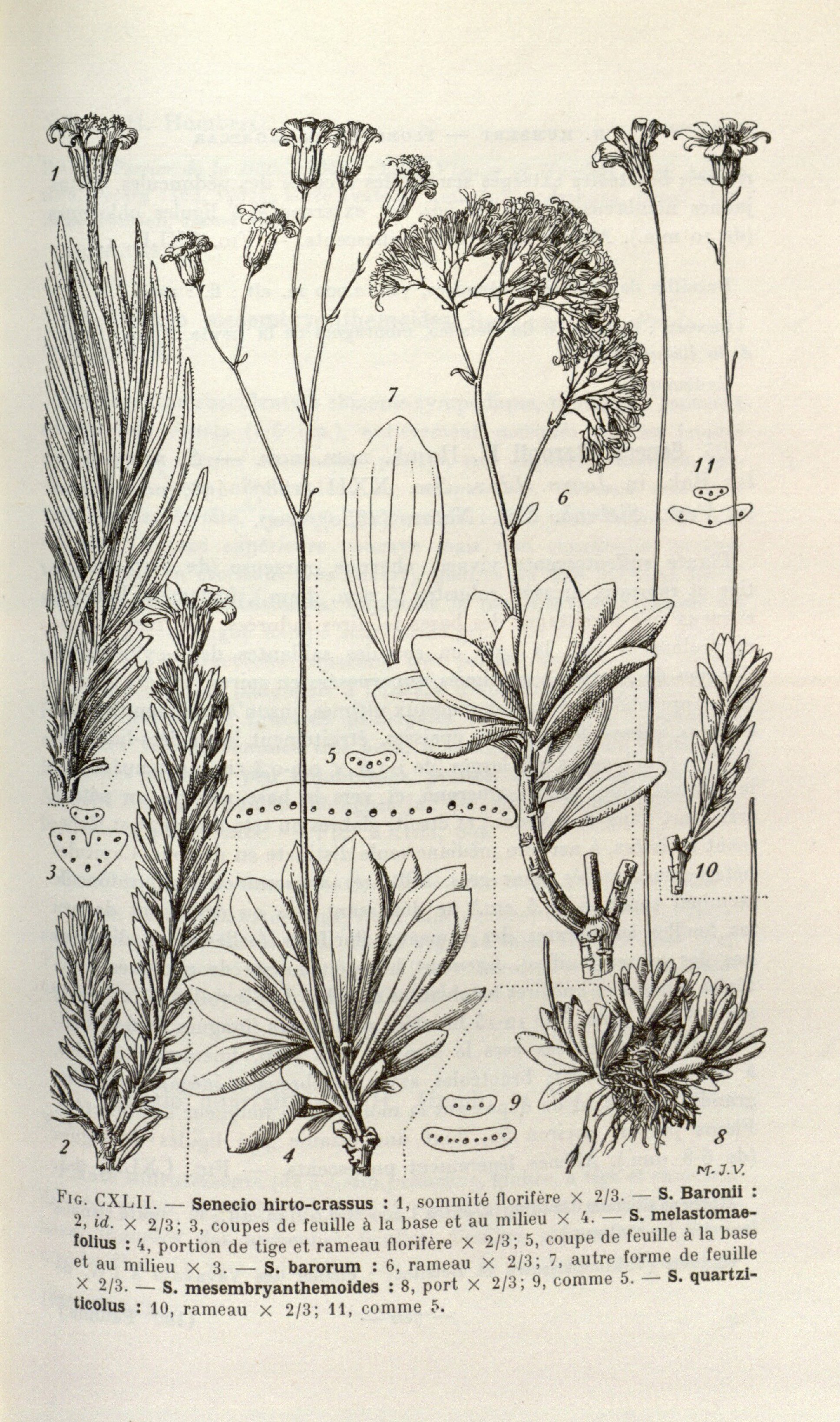 no full size  illustration available (3a)