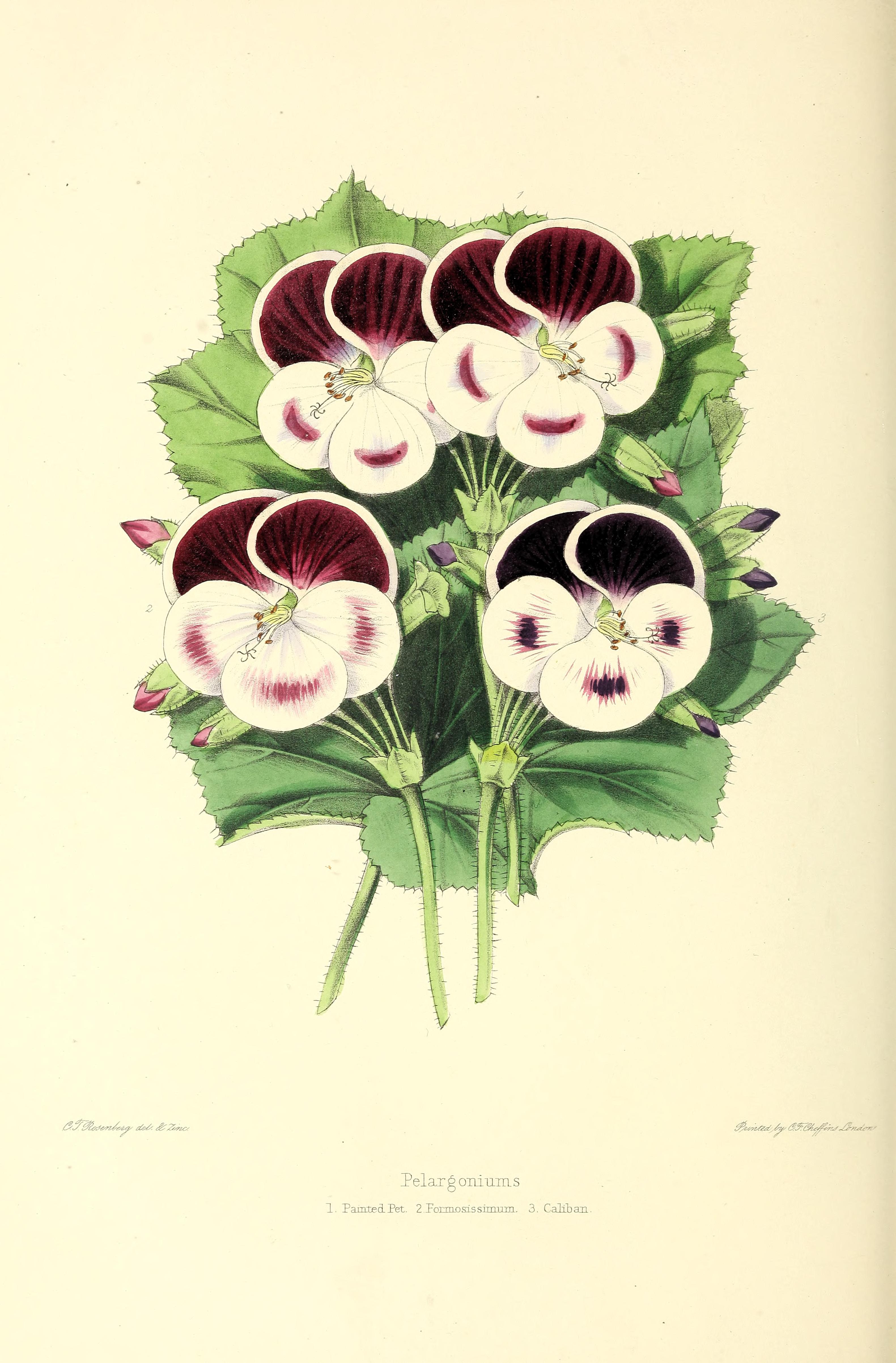 no full size  illustration available (3a)