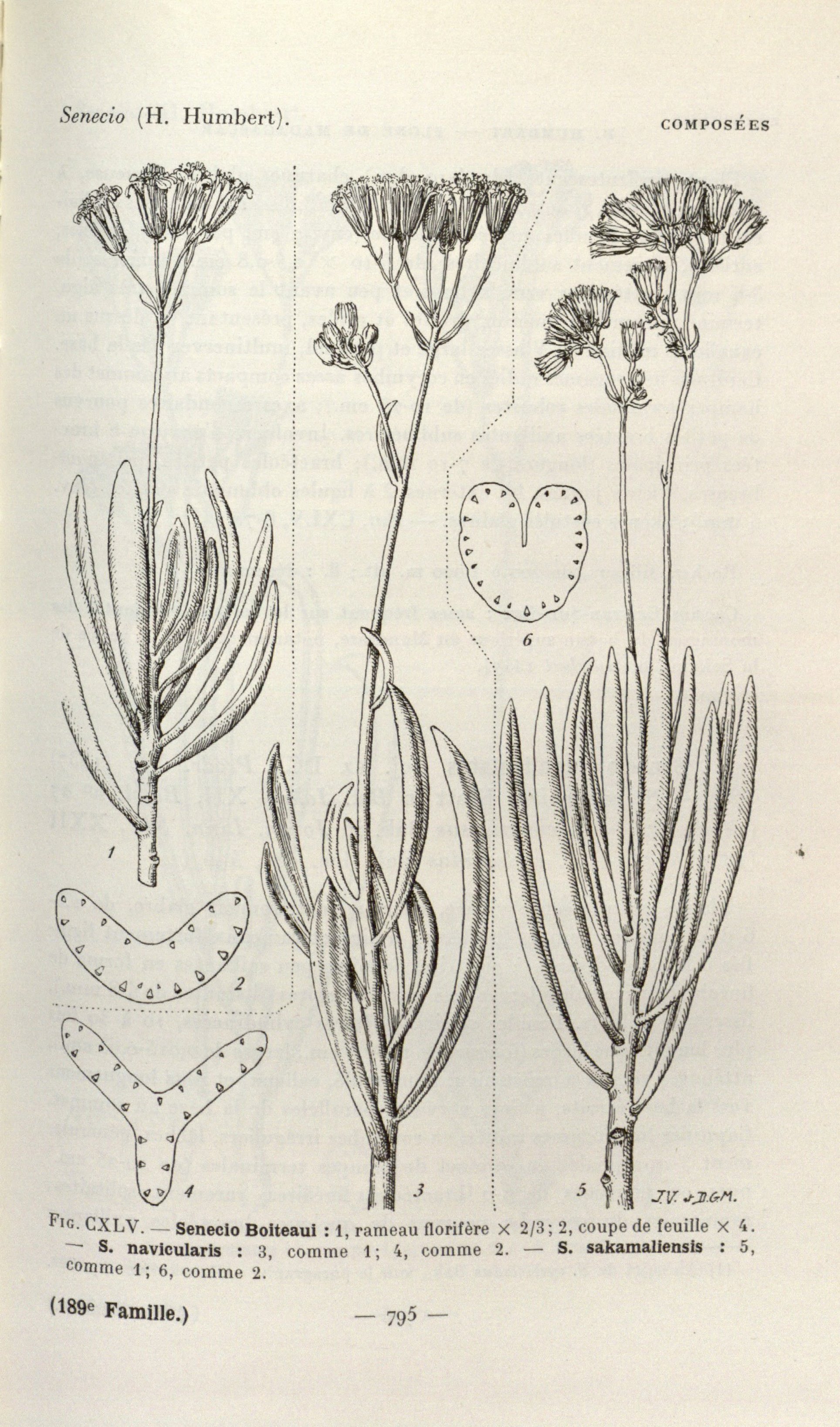 no full size  illustration available (3a)