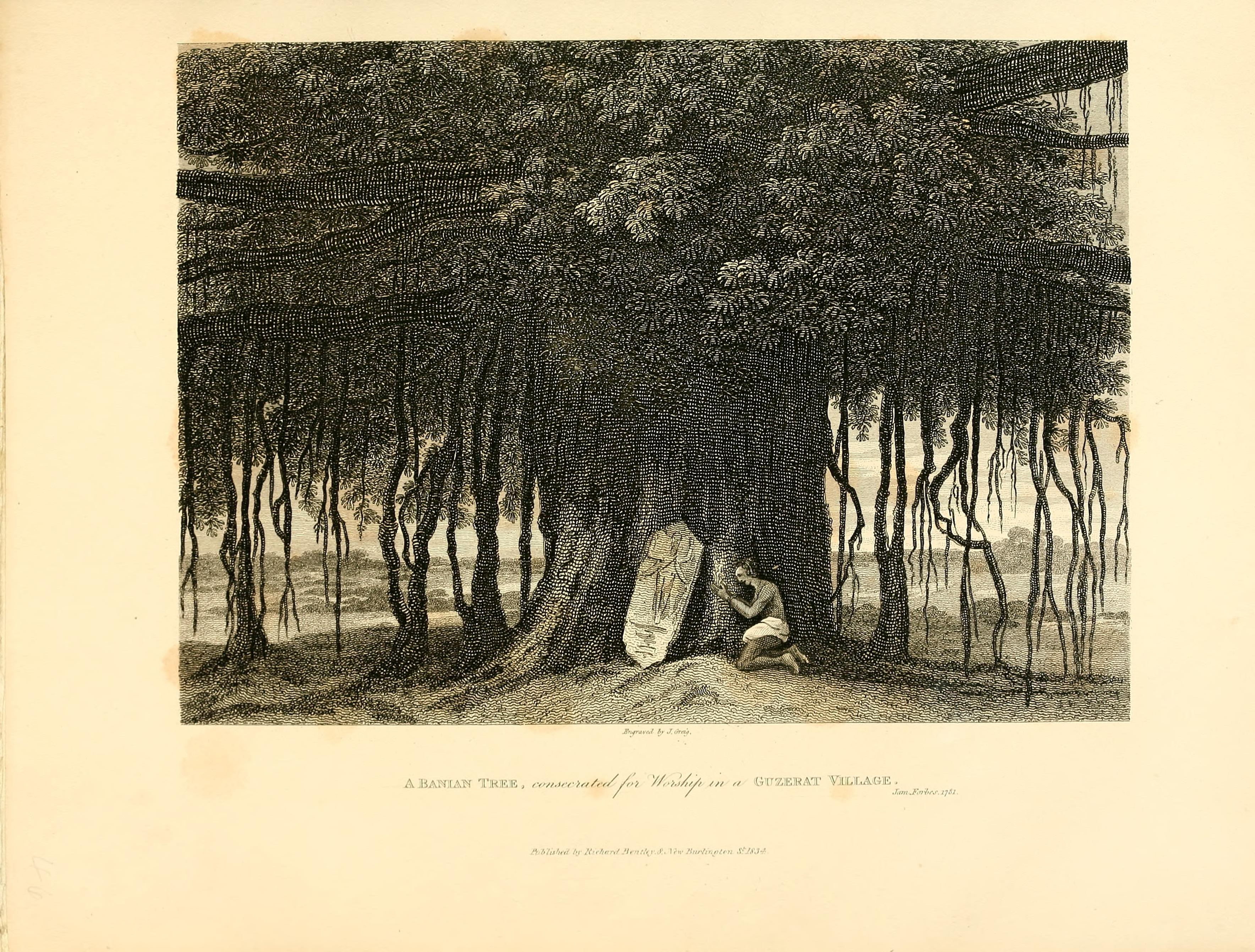 no full size  illustration available (3a)