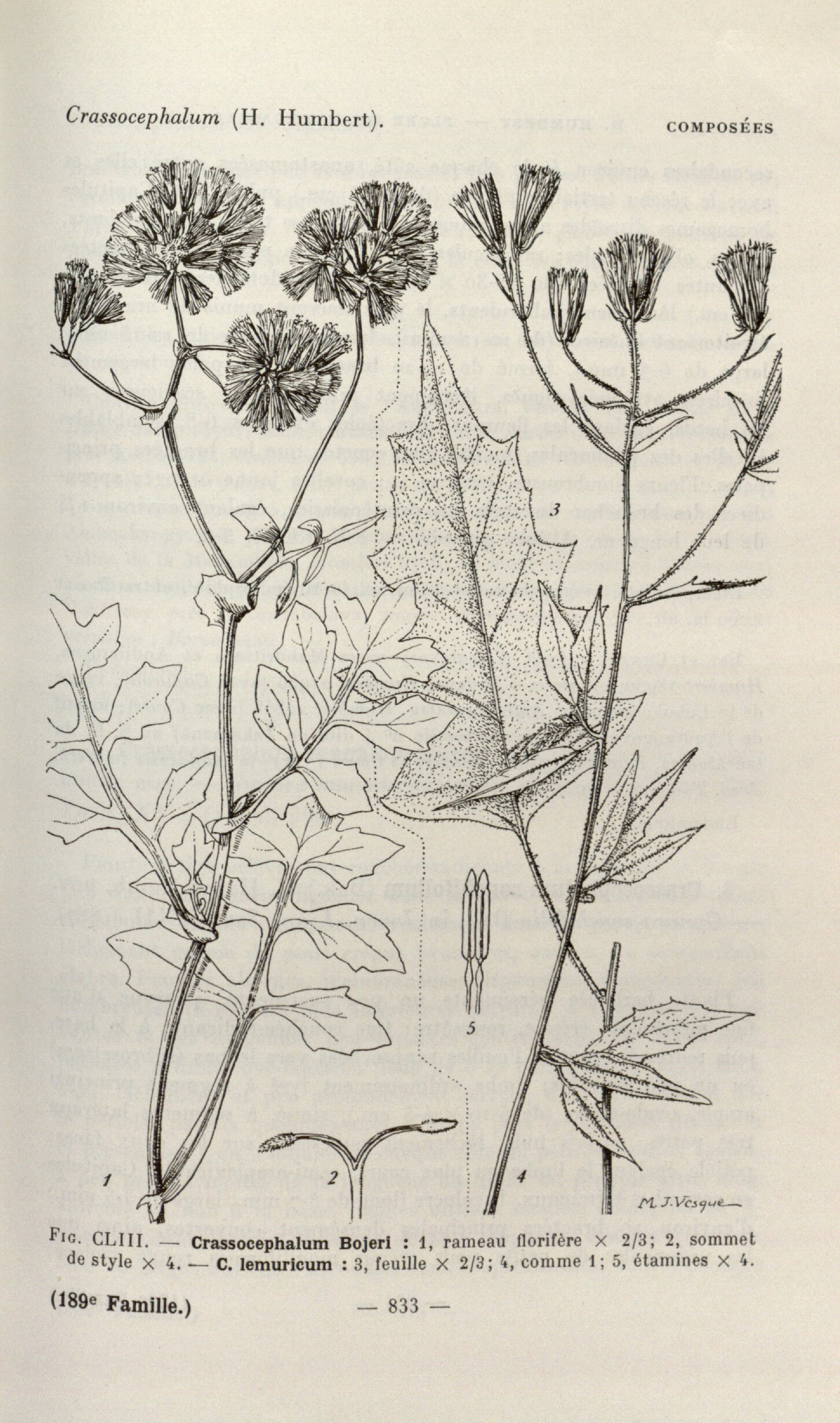 no full size  illustration available (3a)