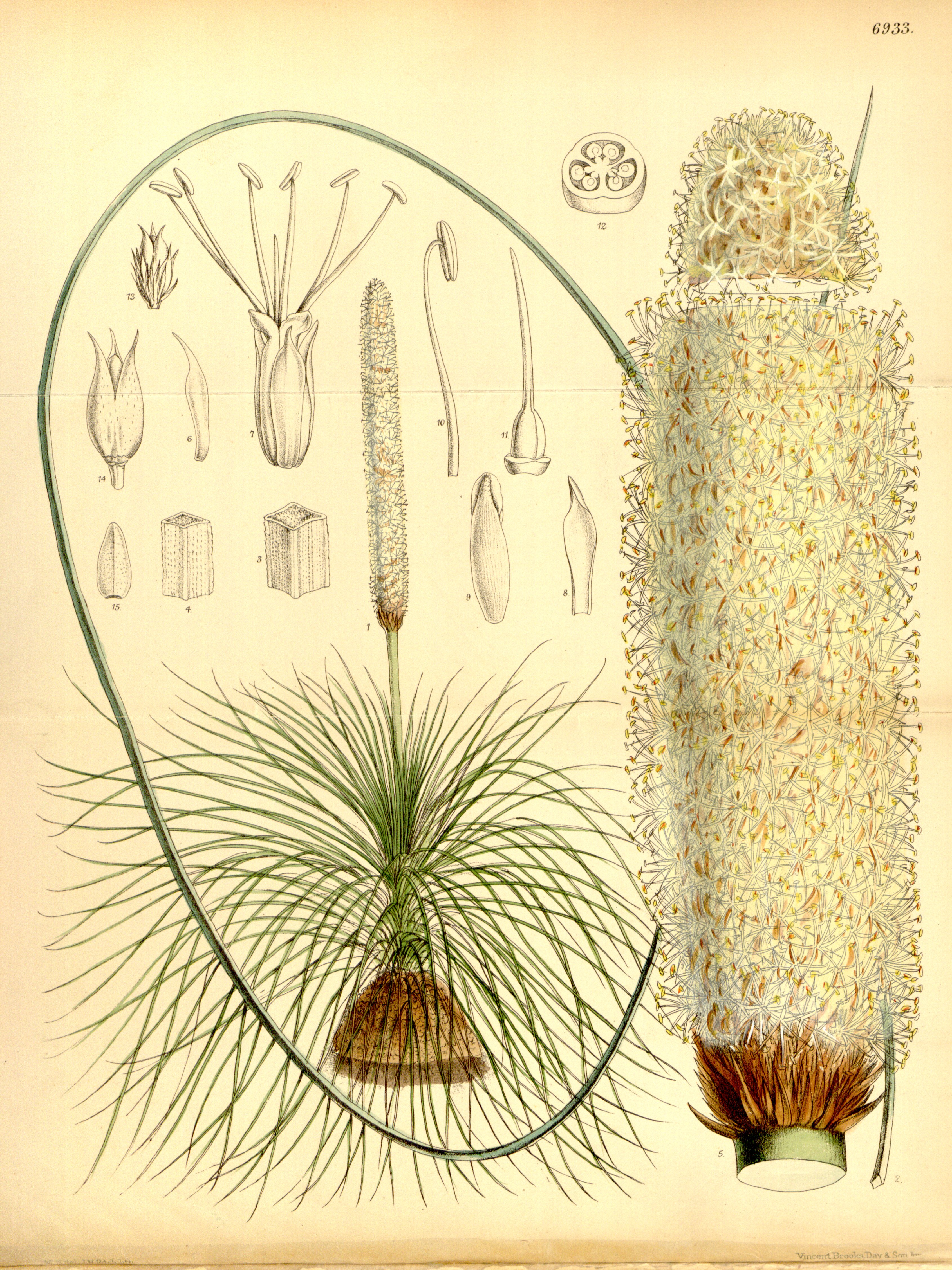 no full size  illustration available (3a)