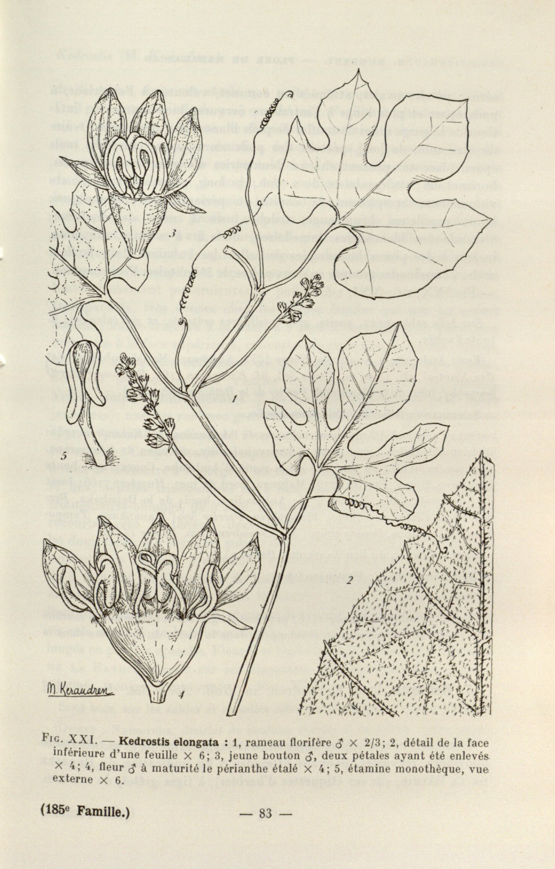 no full size  illustration available (3a)