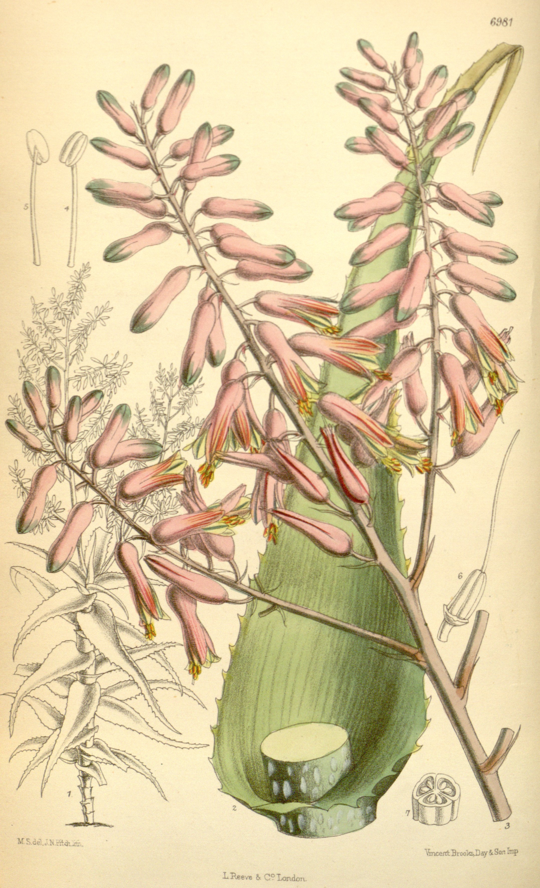 no full size  illustration available (3a)