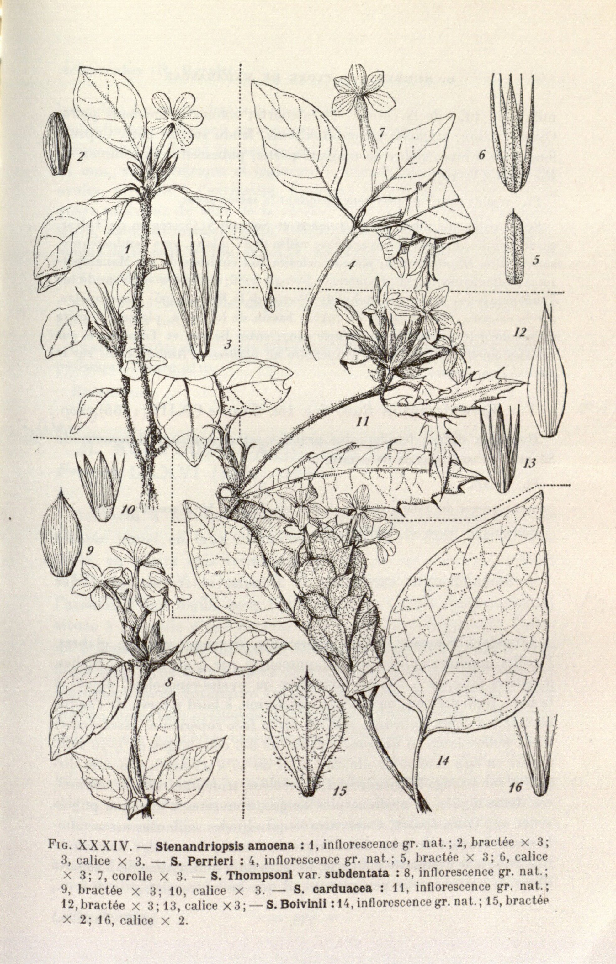 no full size  illustration available (3a)