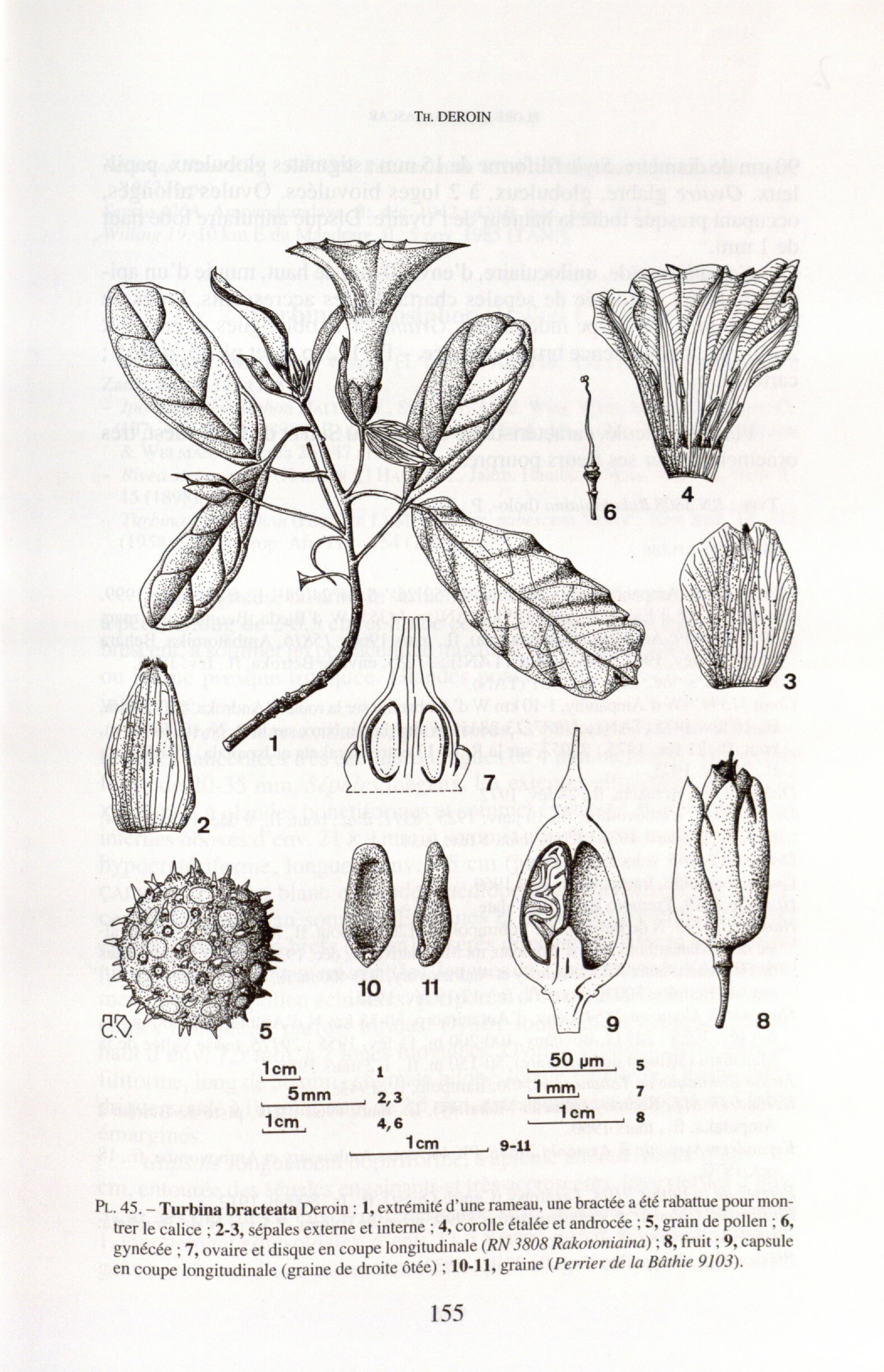 no full size  illustration available (3a)