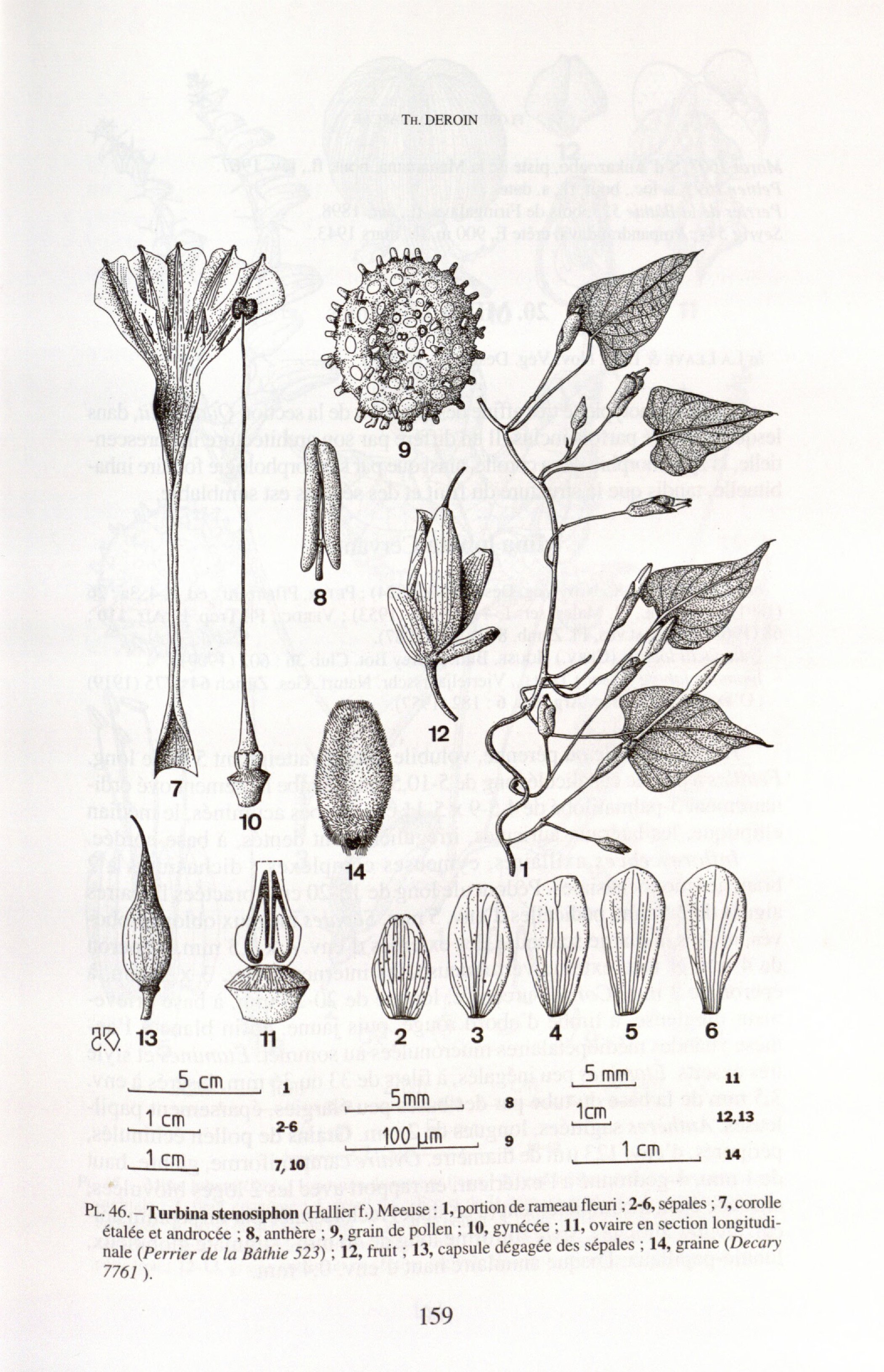 no full size  illustration available (3a)