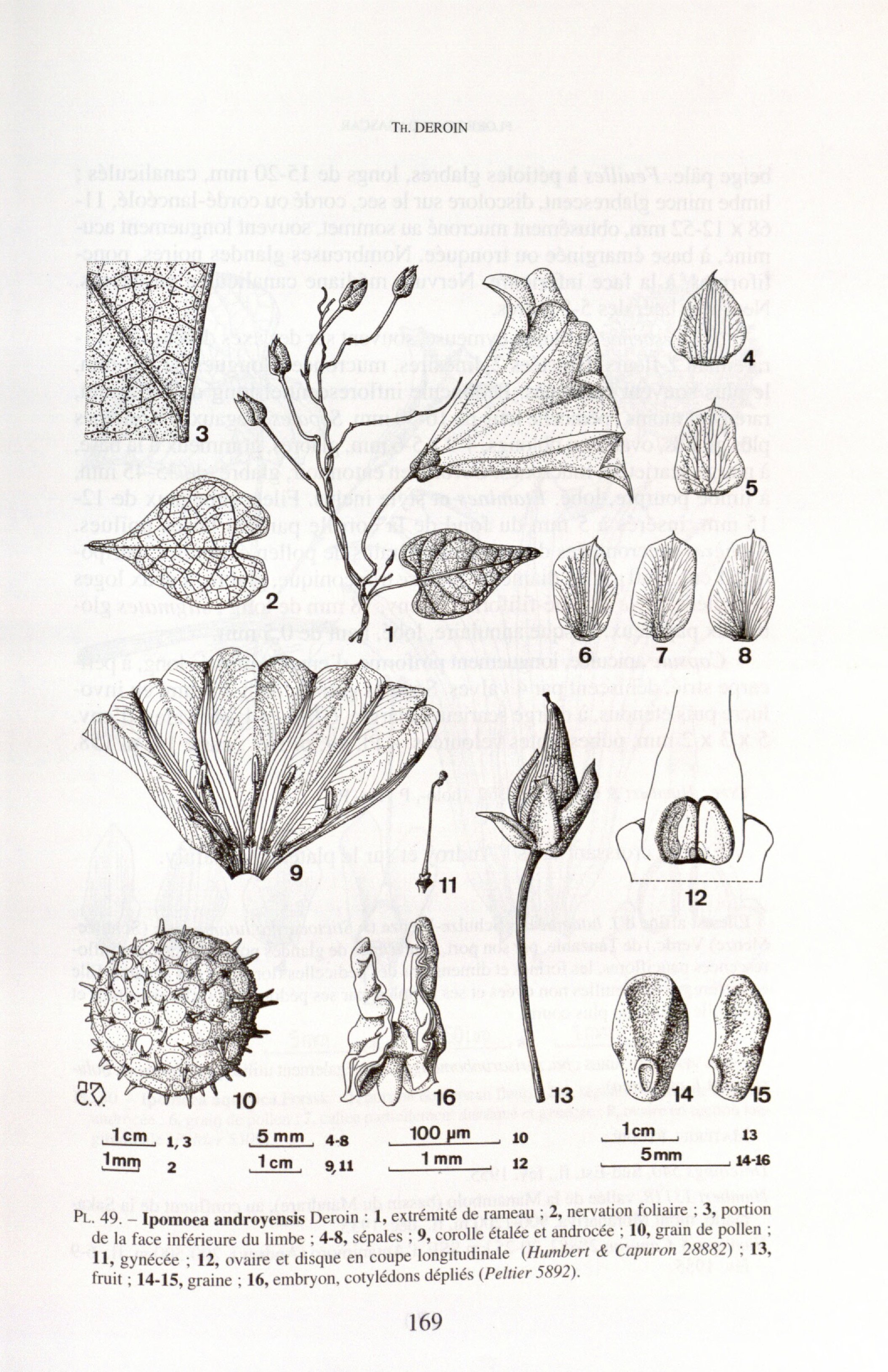 no full size  illustration available (3a)