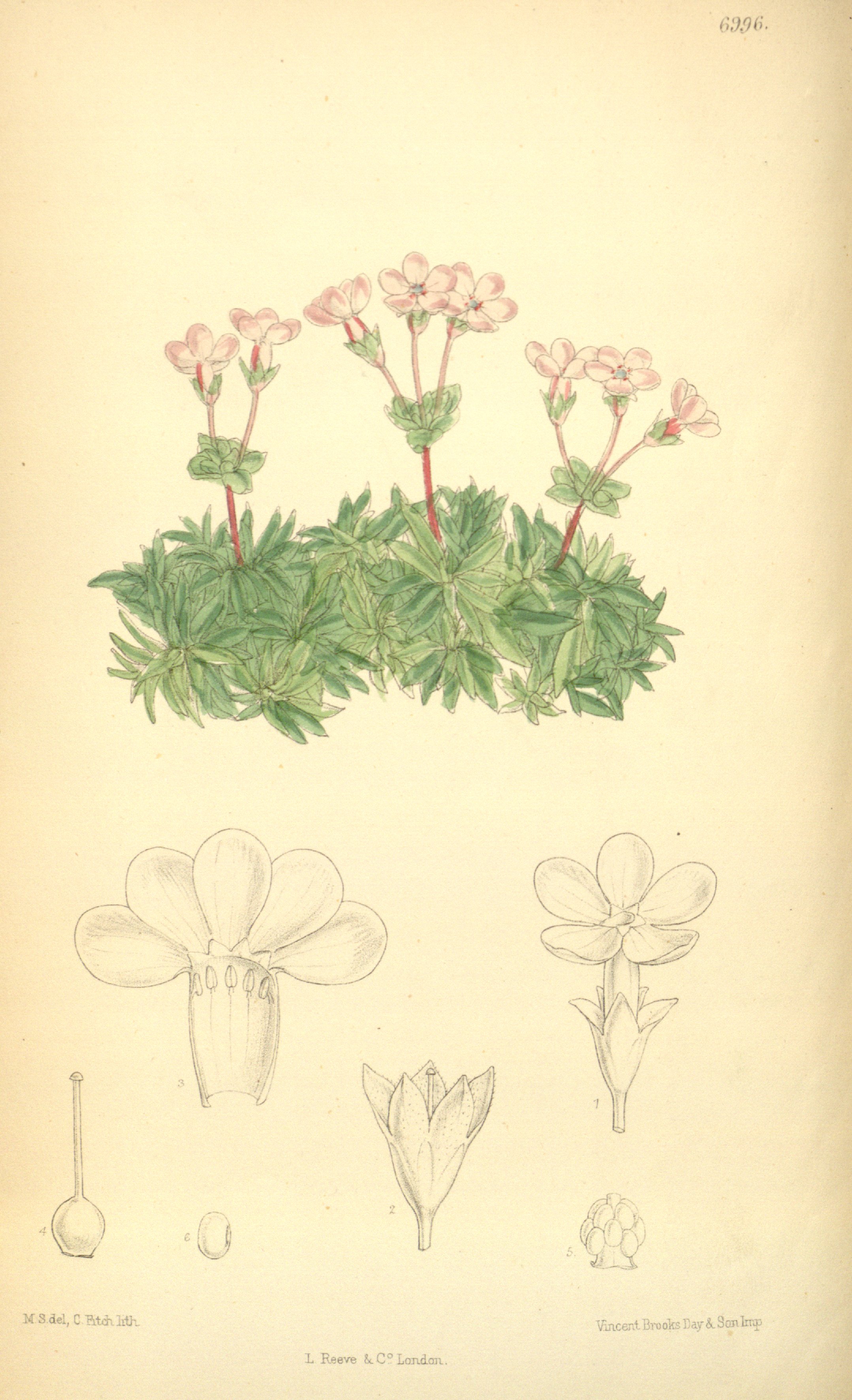 no full size  illustration available (3a)