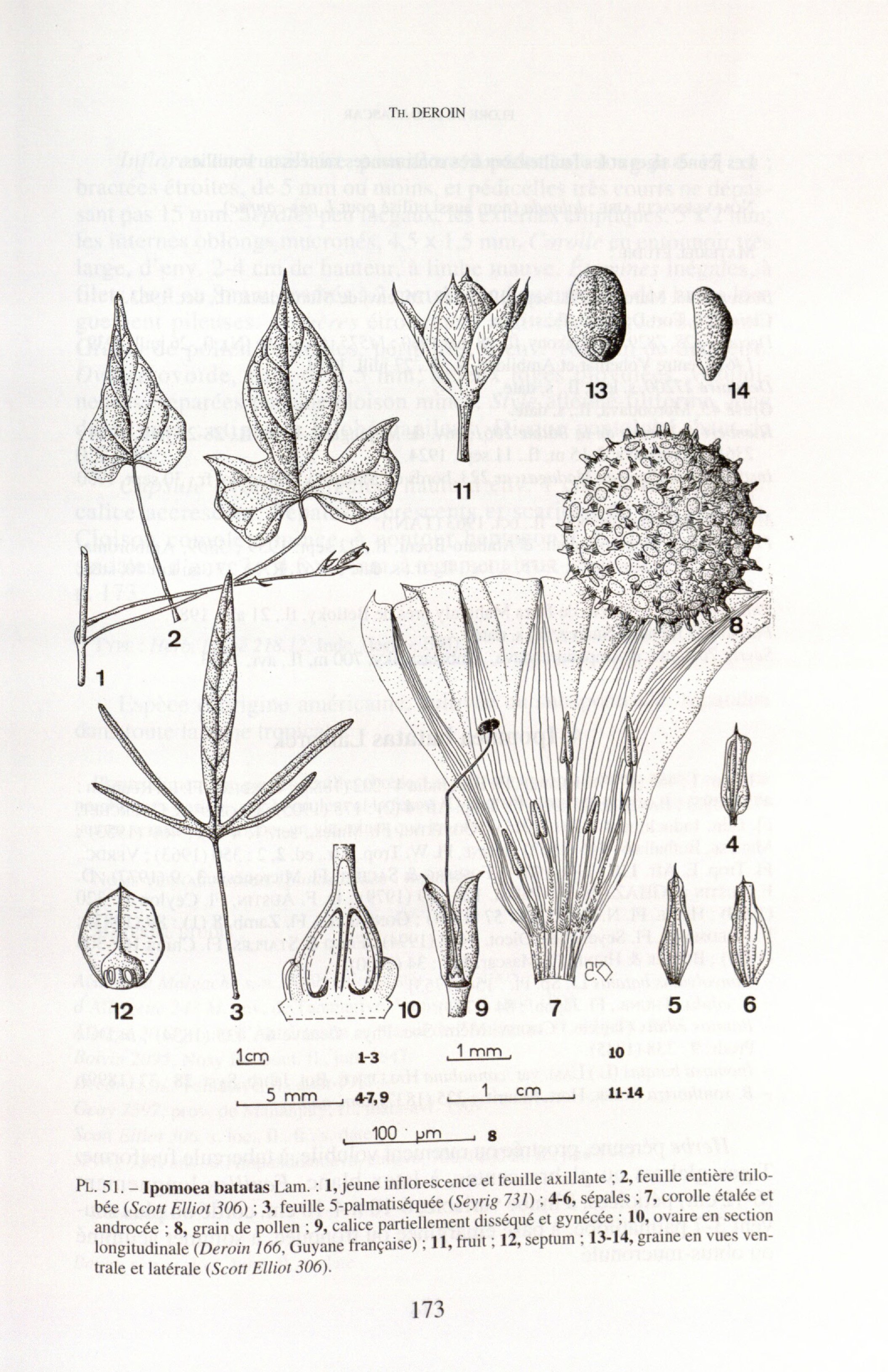 no full size  illustration available (3a)