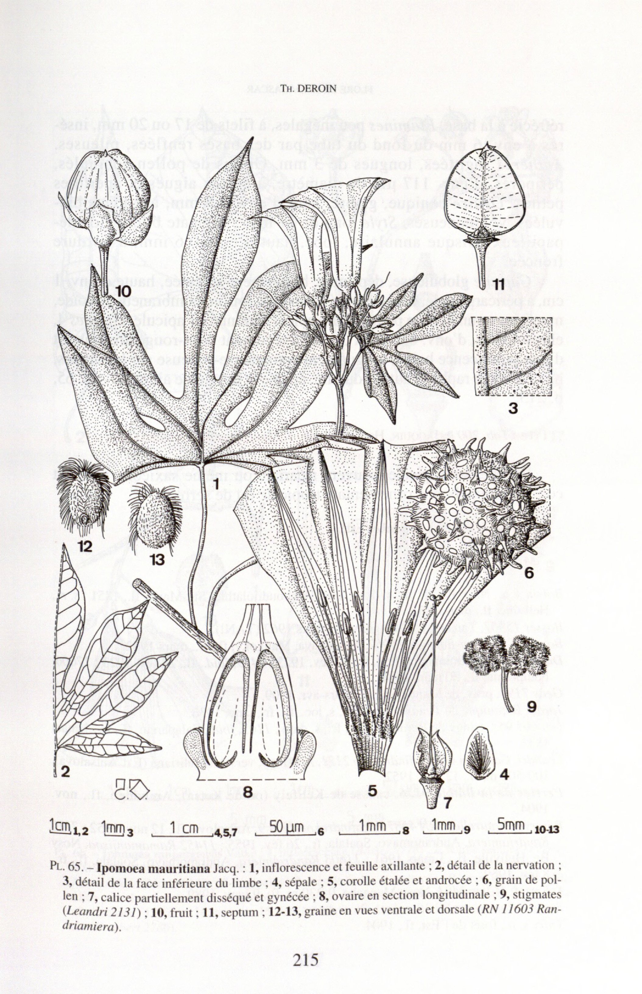 no full size  illustration available (3a)