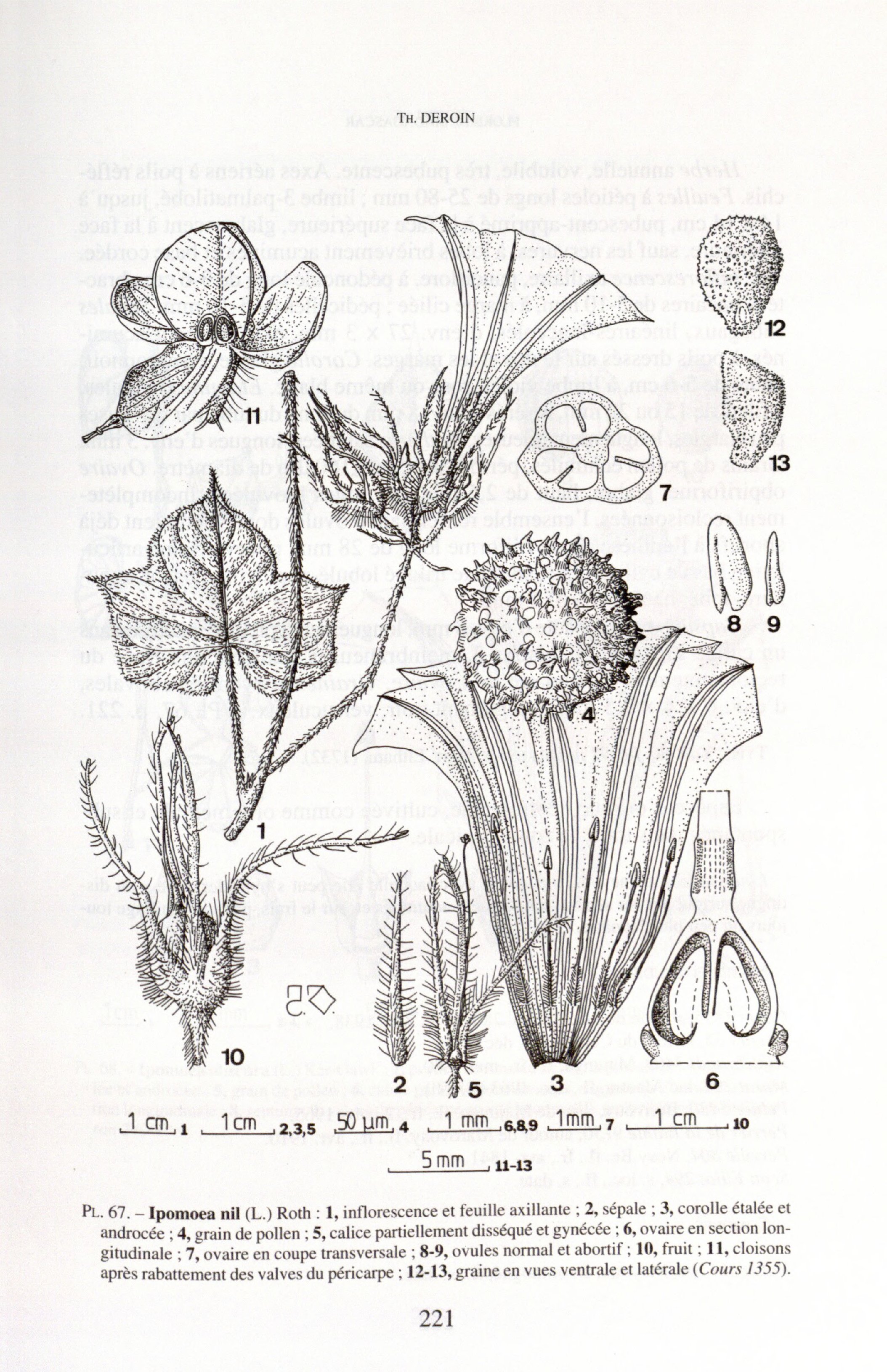 no full size  illustration available (3a)