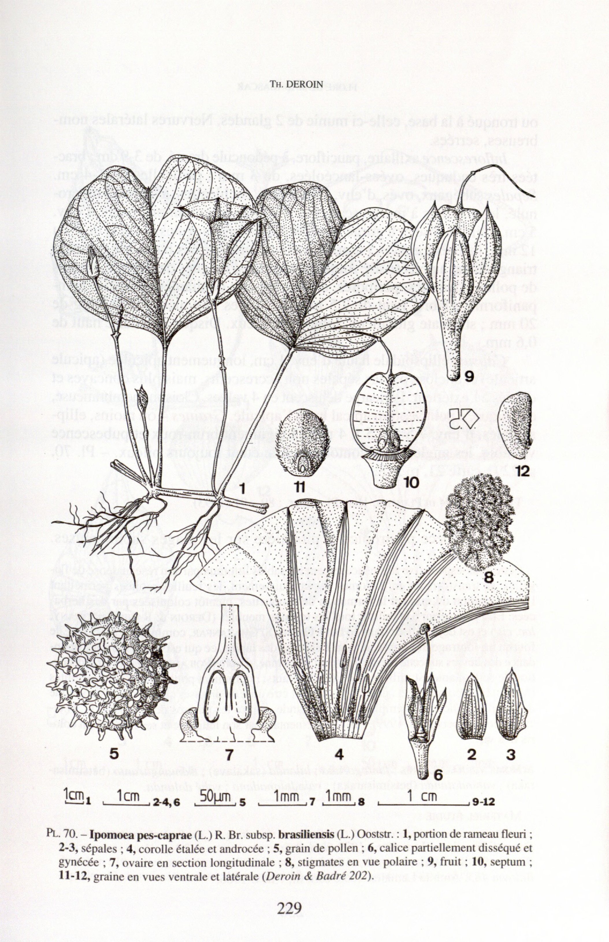 no full size  illustration available (3a)