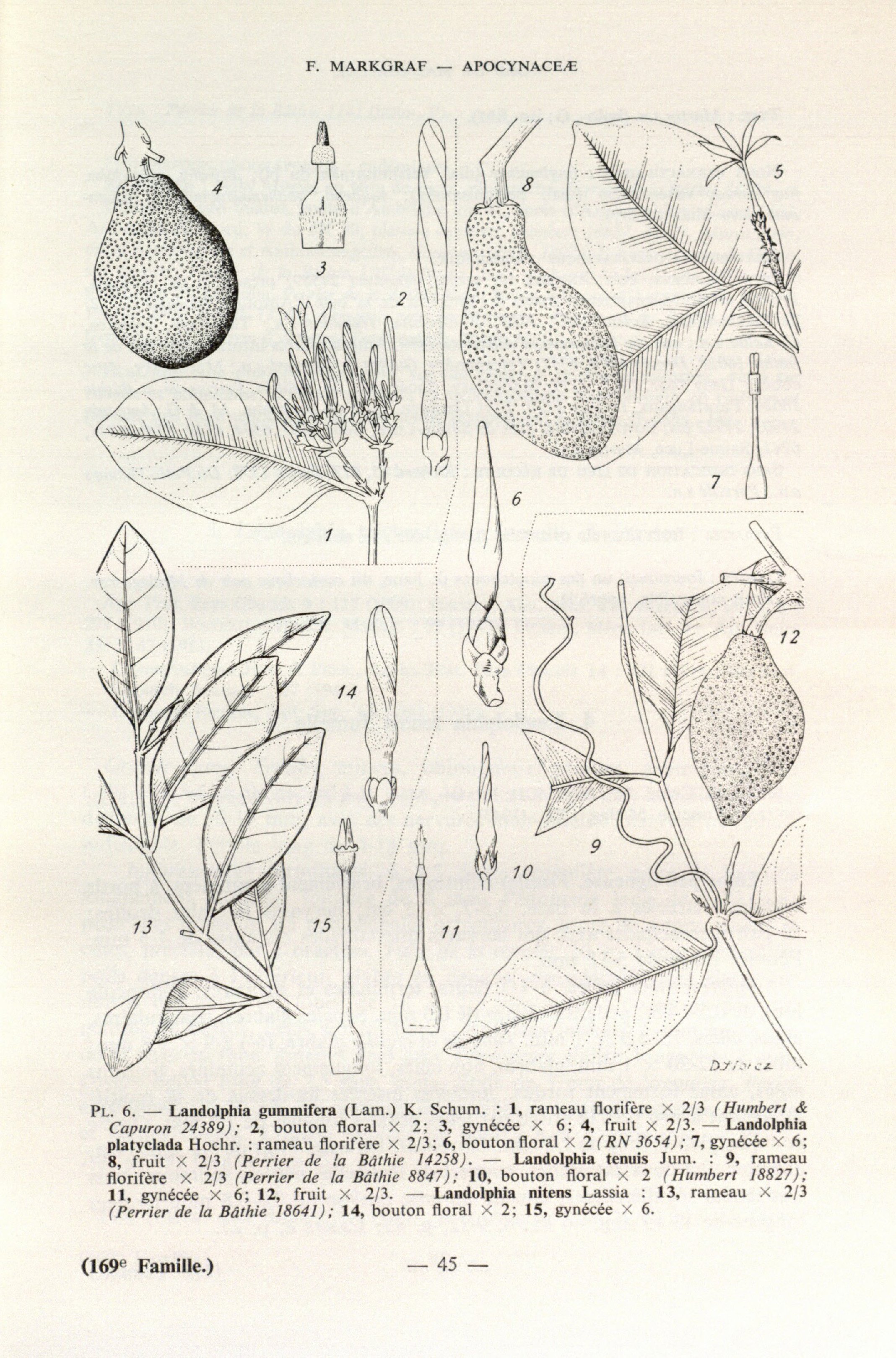 no full size  illustration available (3a)