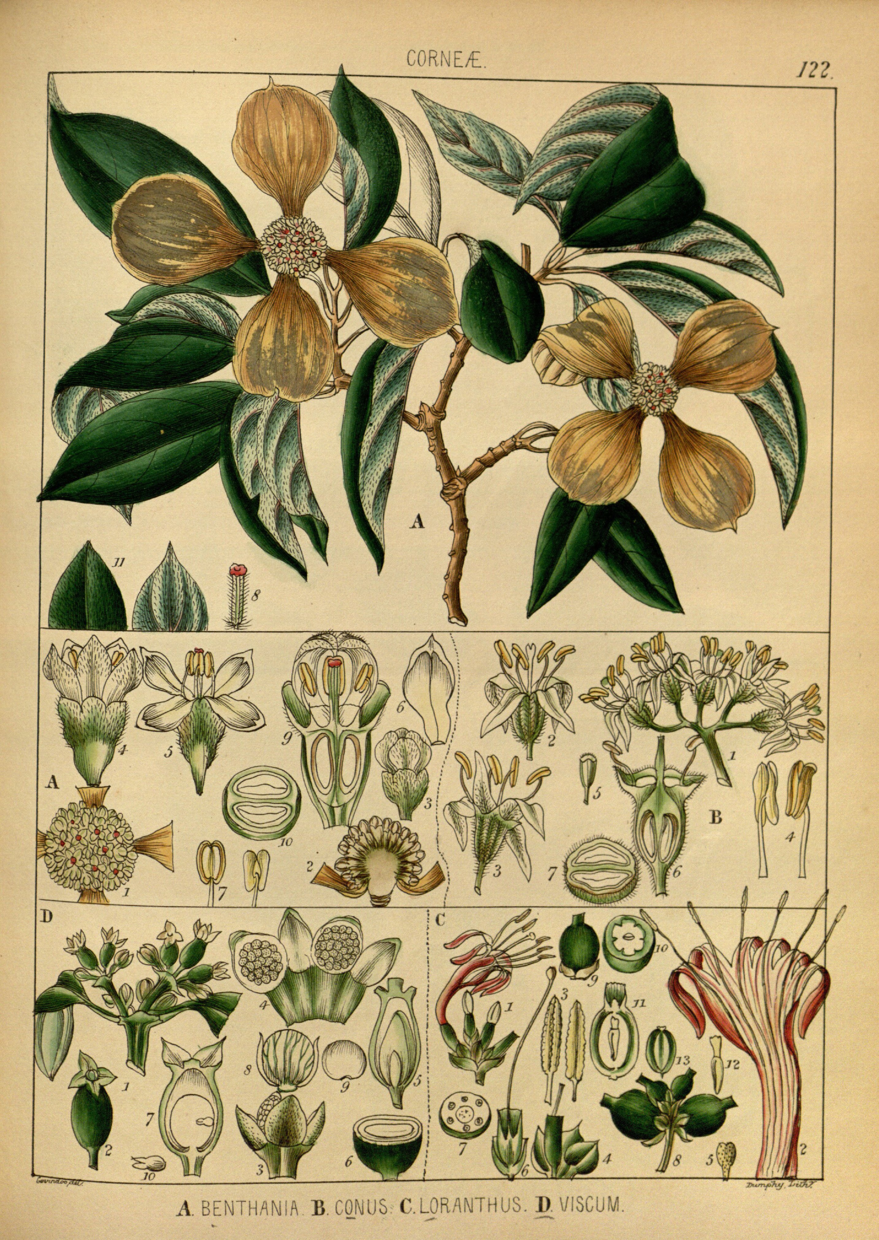 no full size  illustration available (3a)