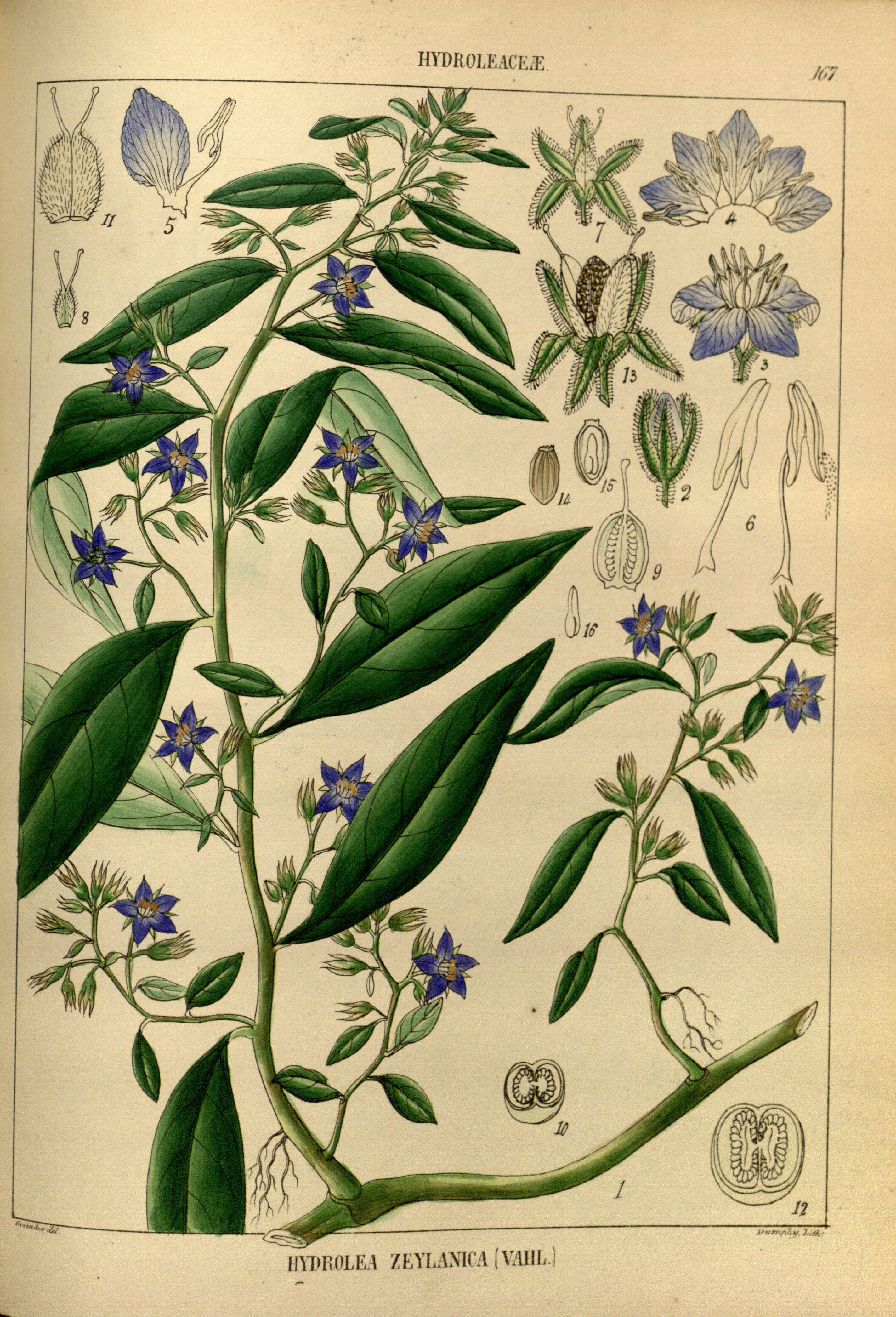 no full size  illustration available (3a)