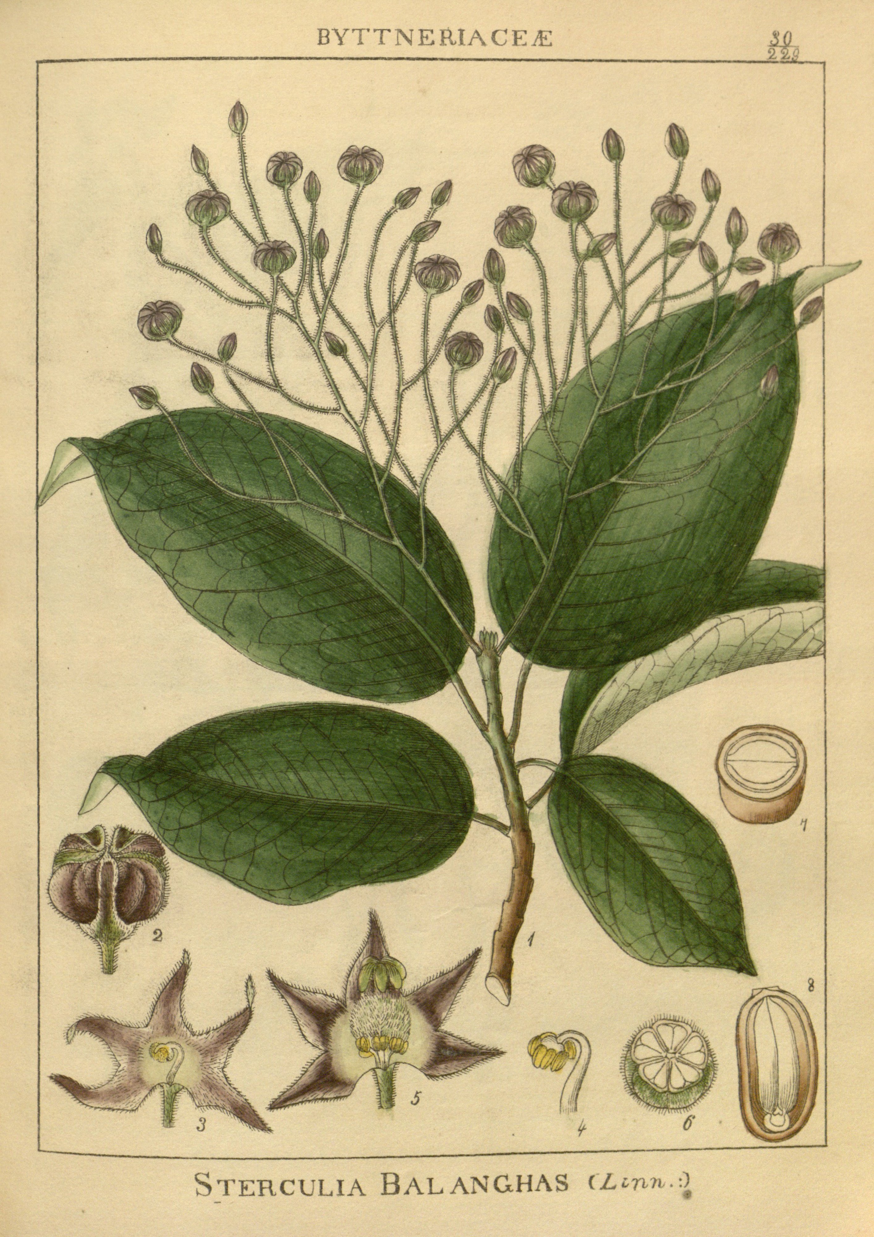 no full size  illustration available (3a)