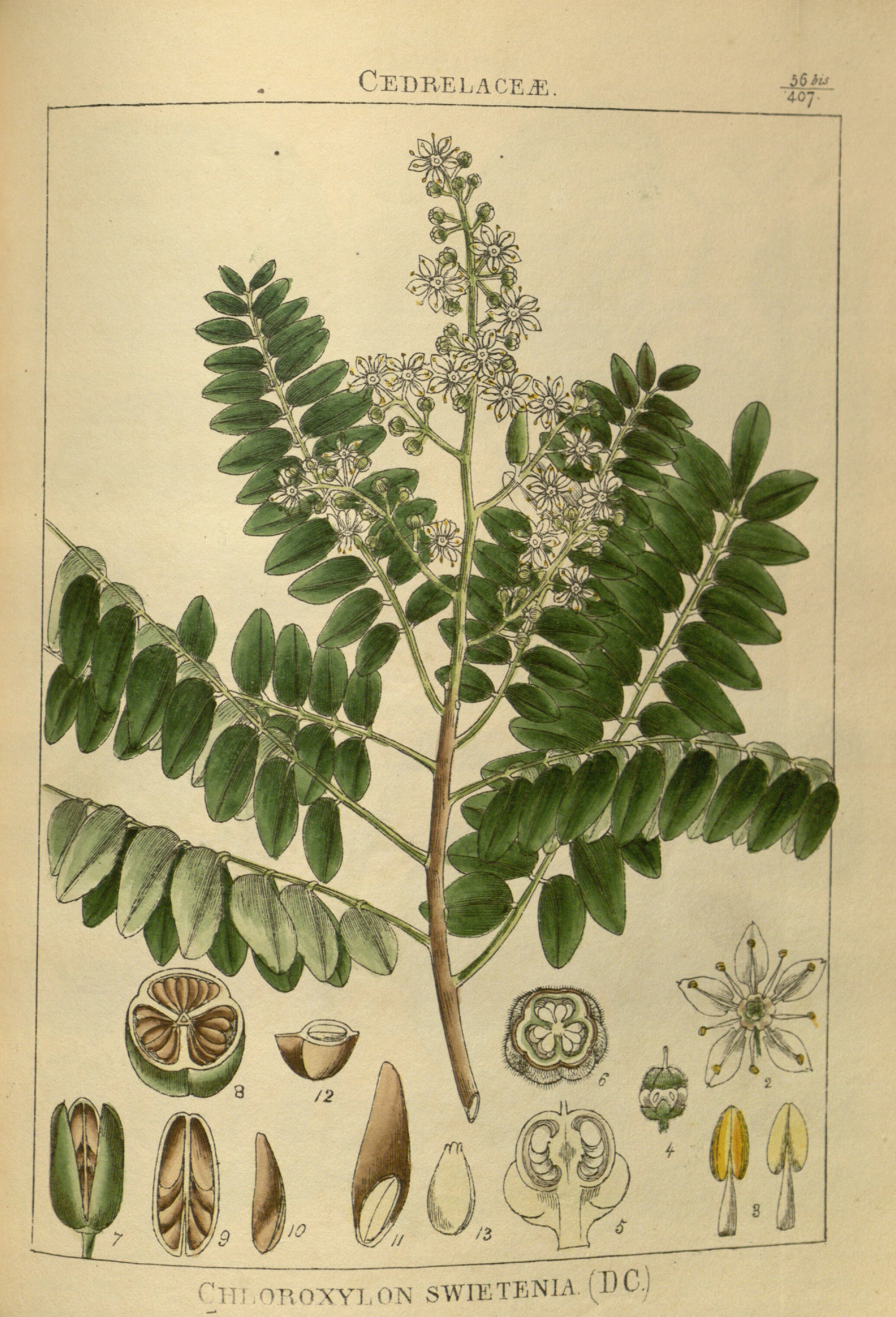 no full size  illustration available (3a)