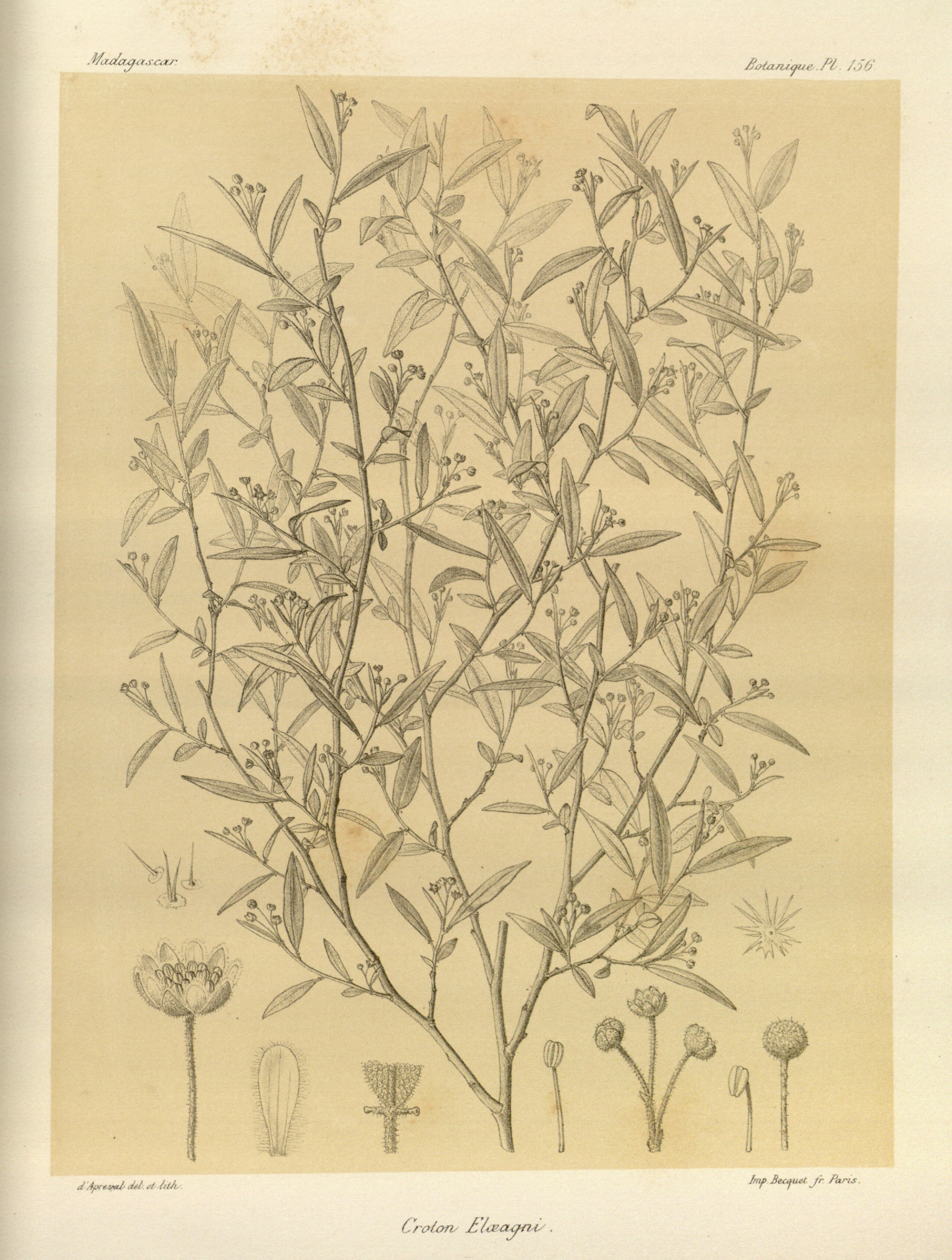 no full size  illustration available (3a)