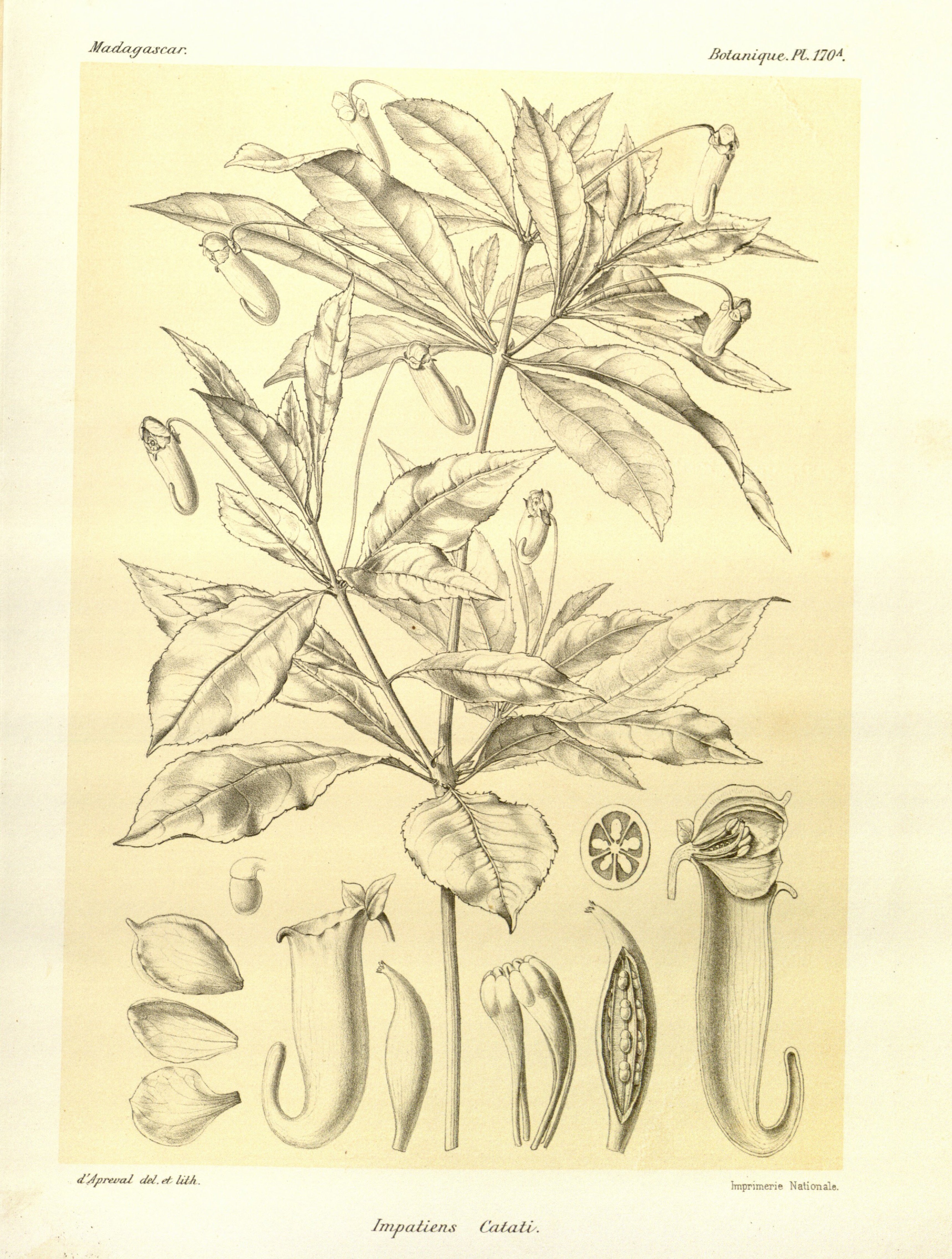 no full size  illustration available (3a)