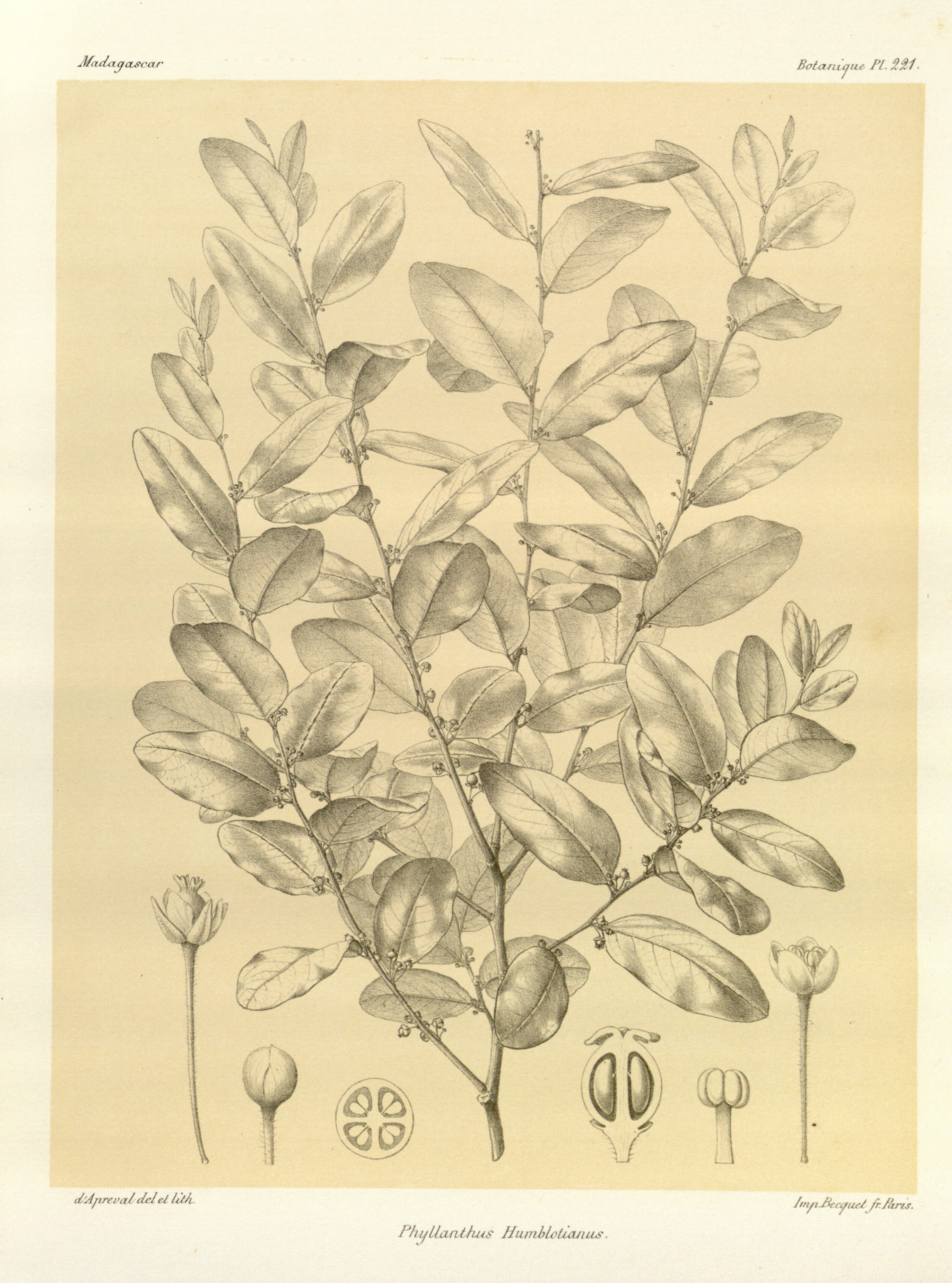 no full size  illustration available (3a)