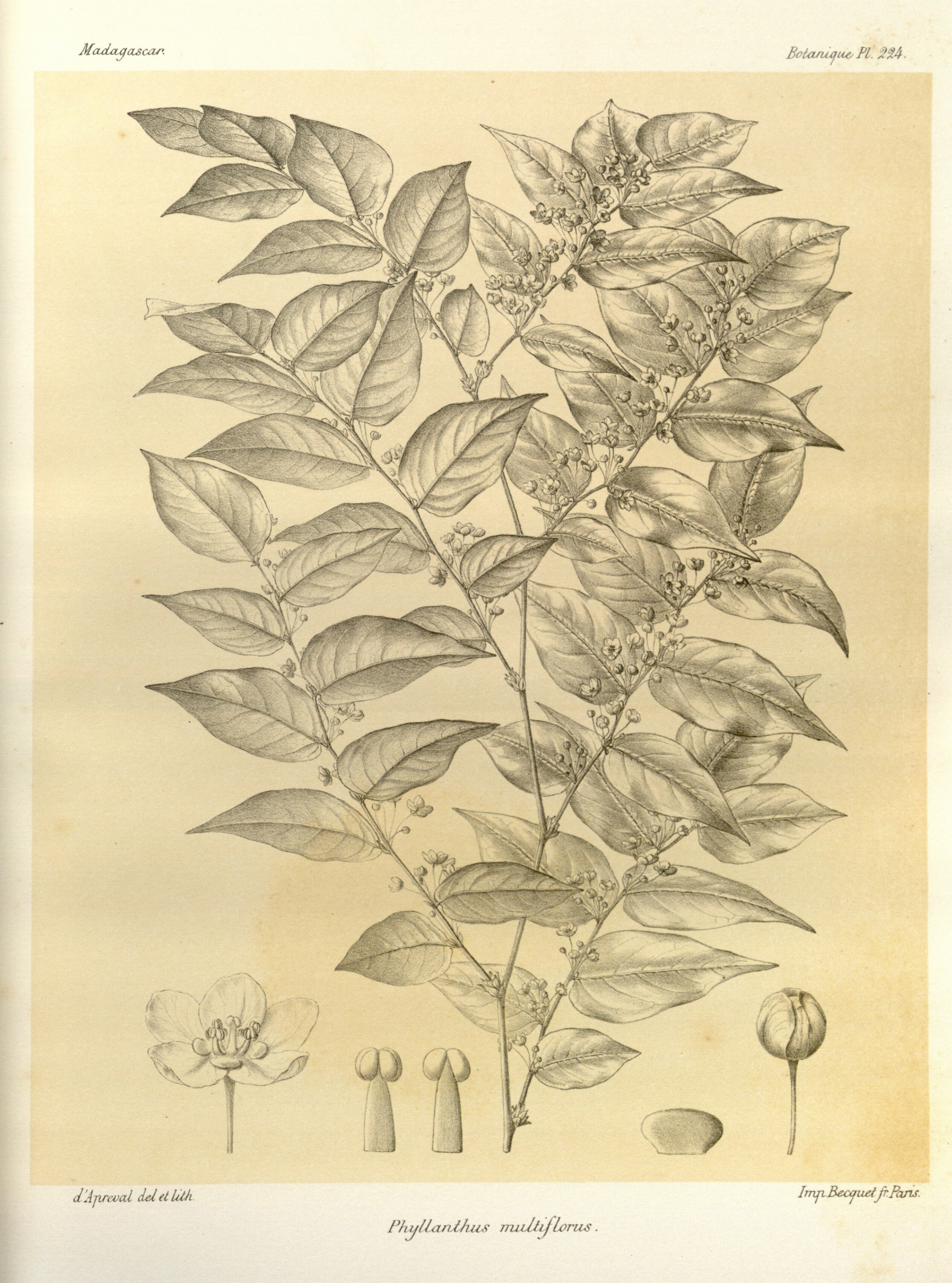 no full size  illustration available (3a)