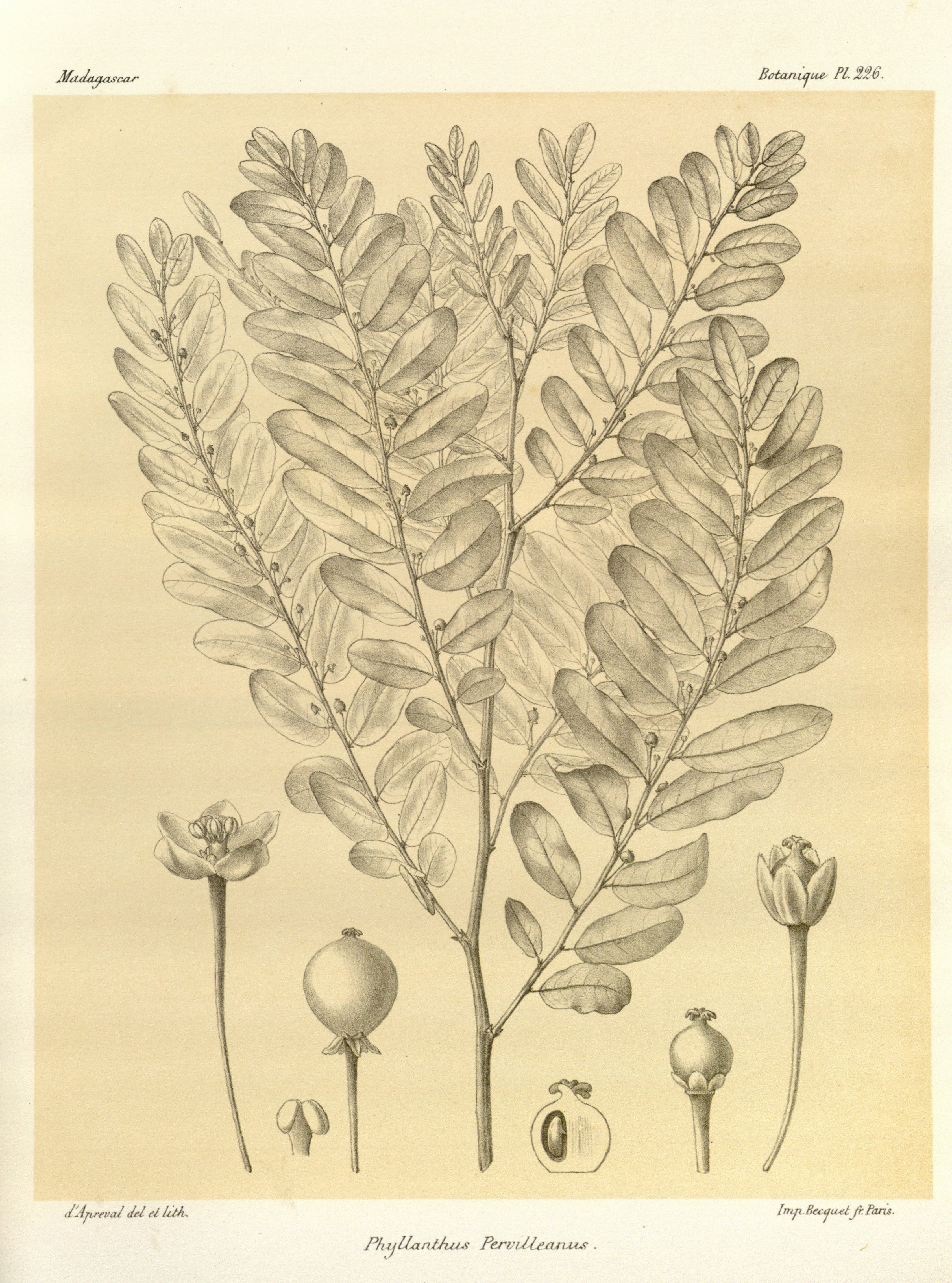 no full size  illustration available (3a)