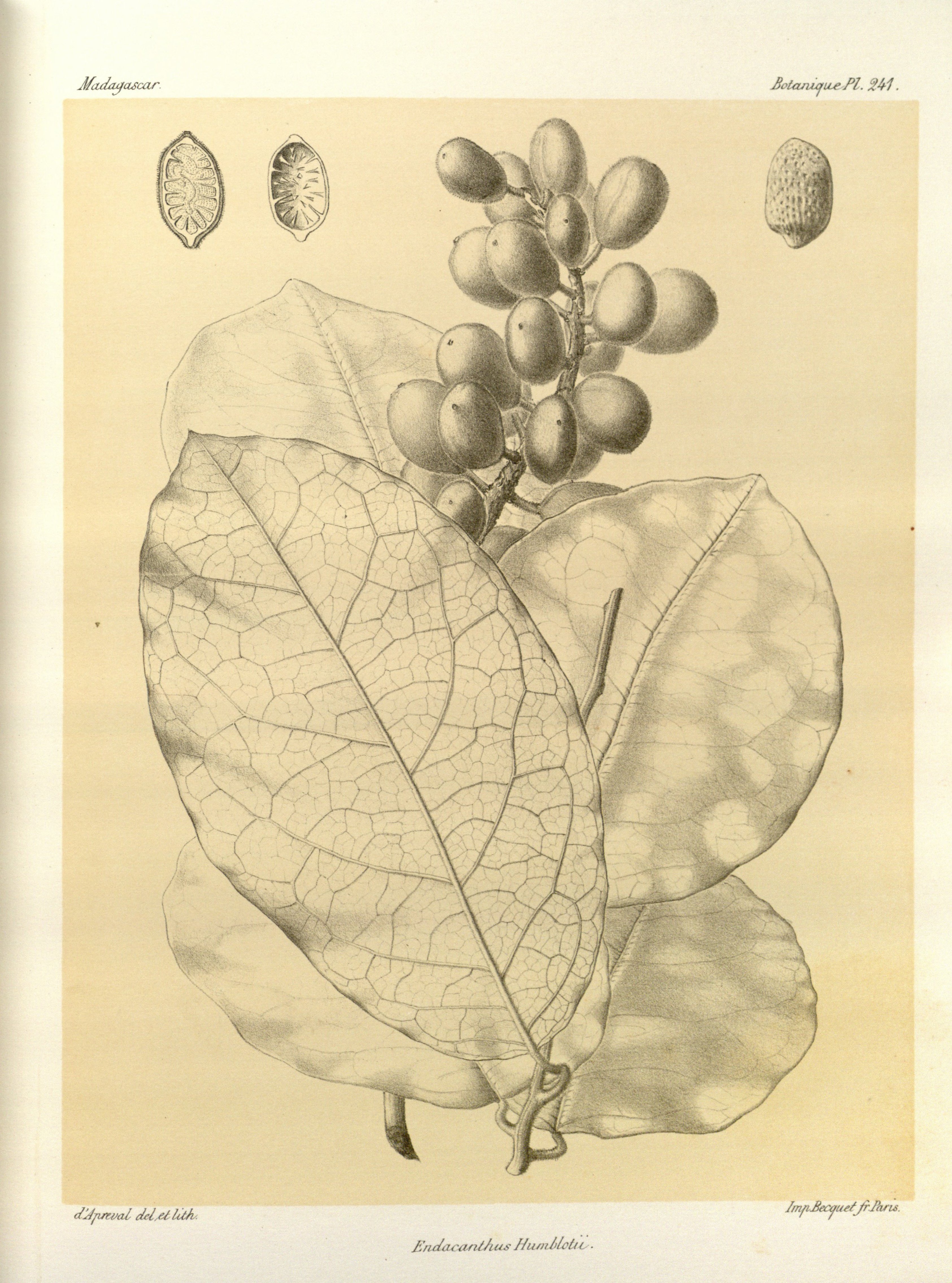 no full size  illustration available (3a)