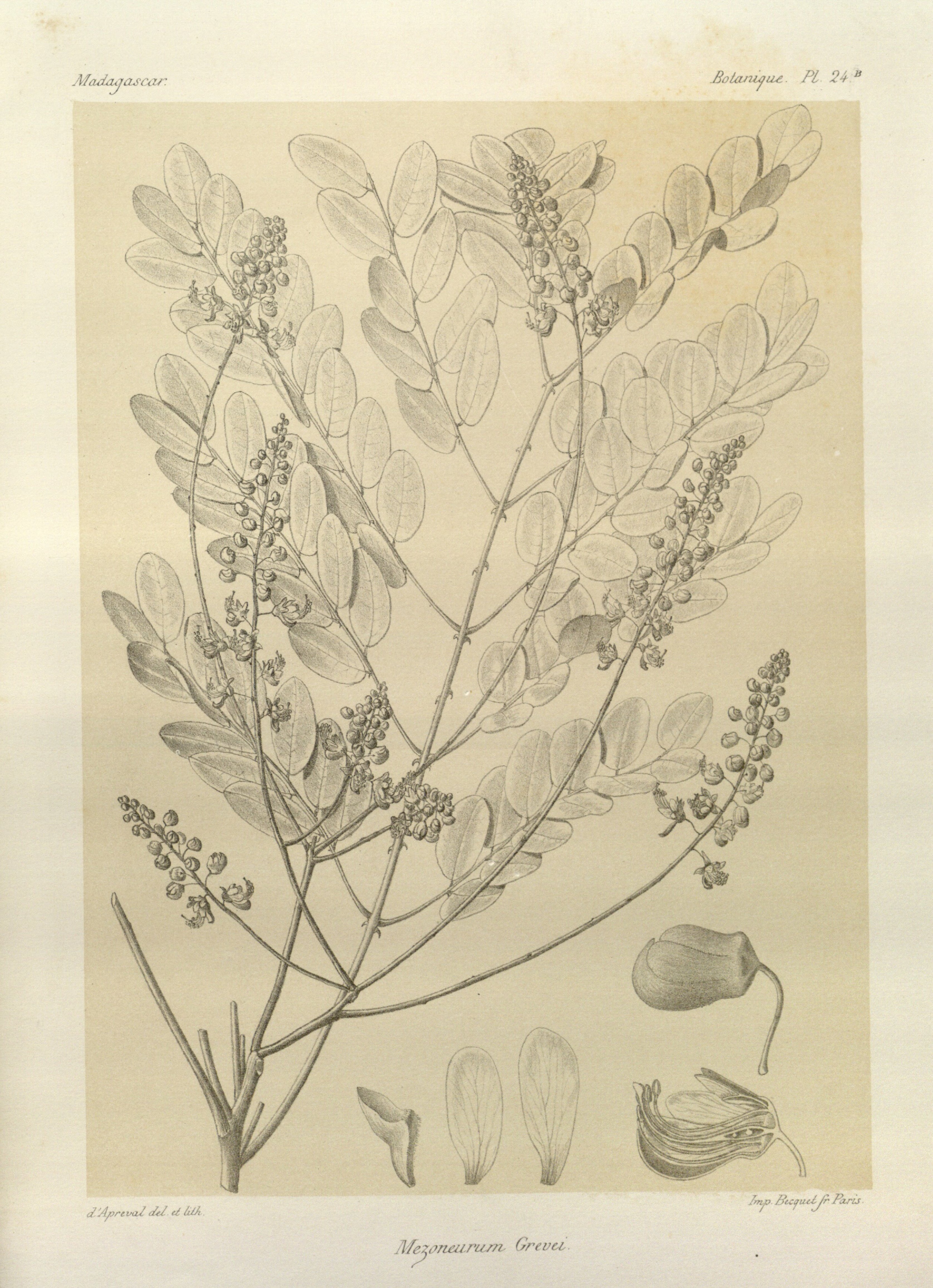 no full size  illustration available (3a)