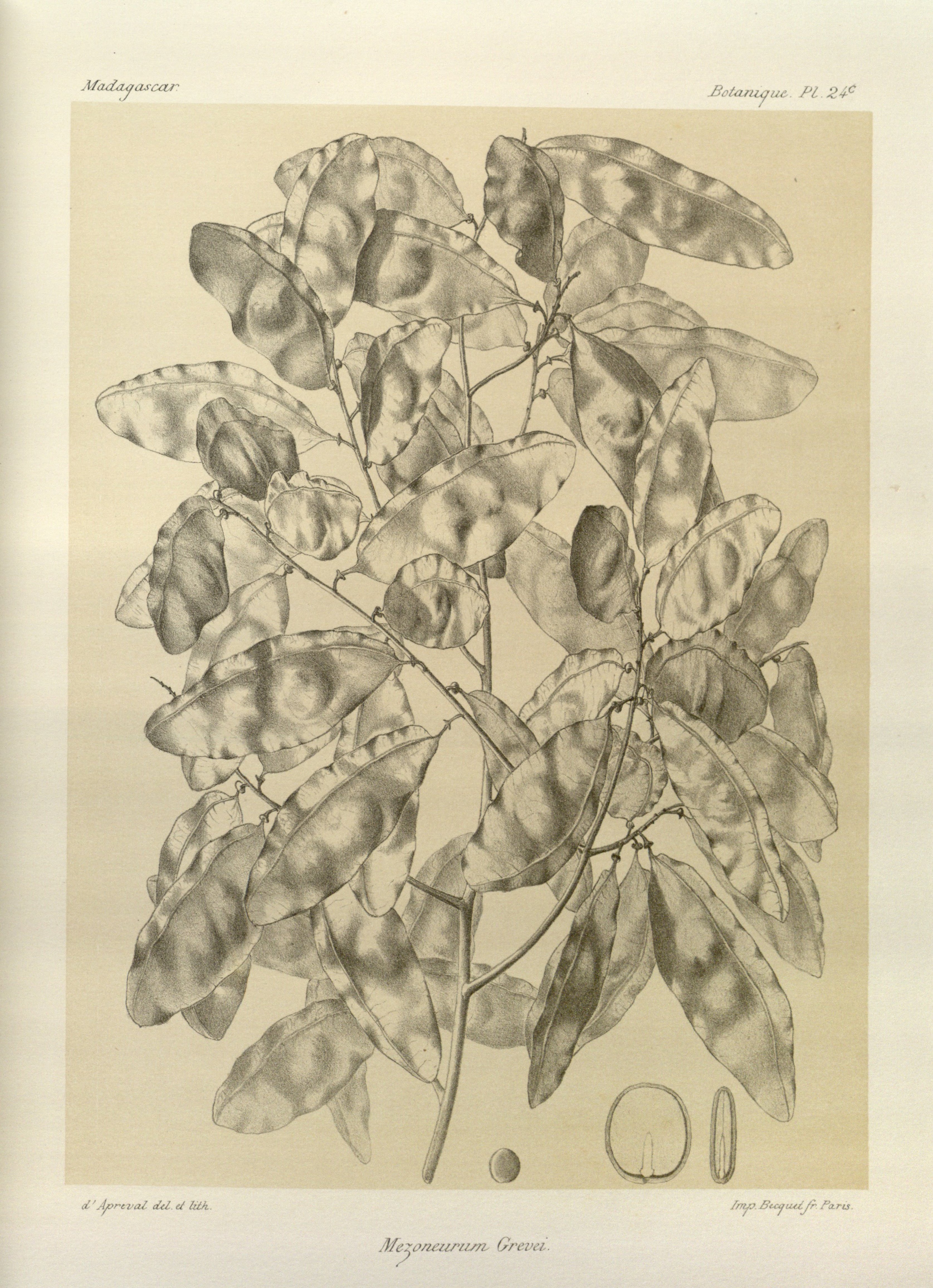 no full size  illustration available (3a)