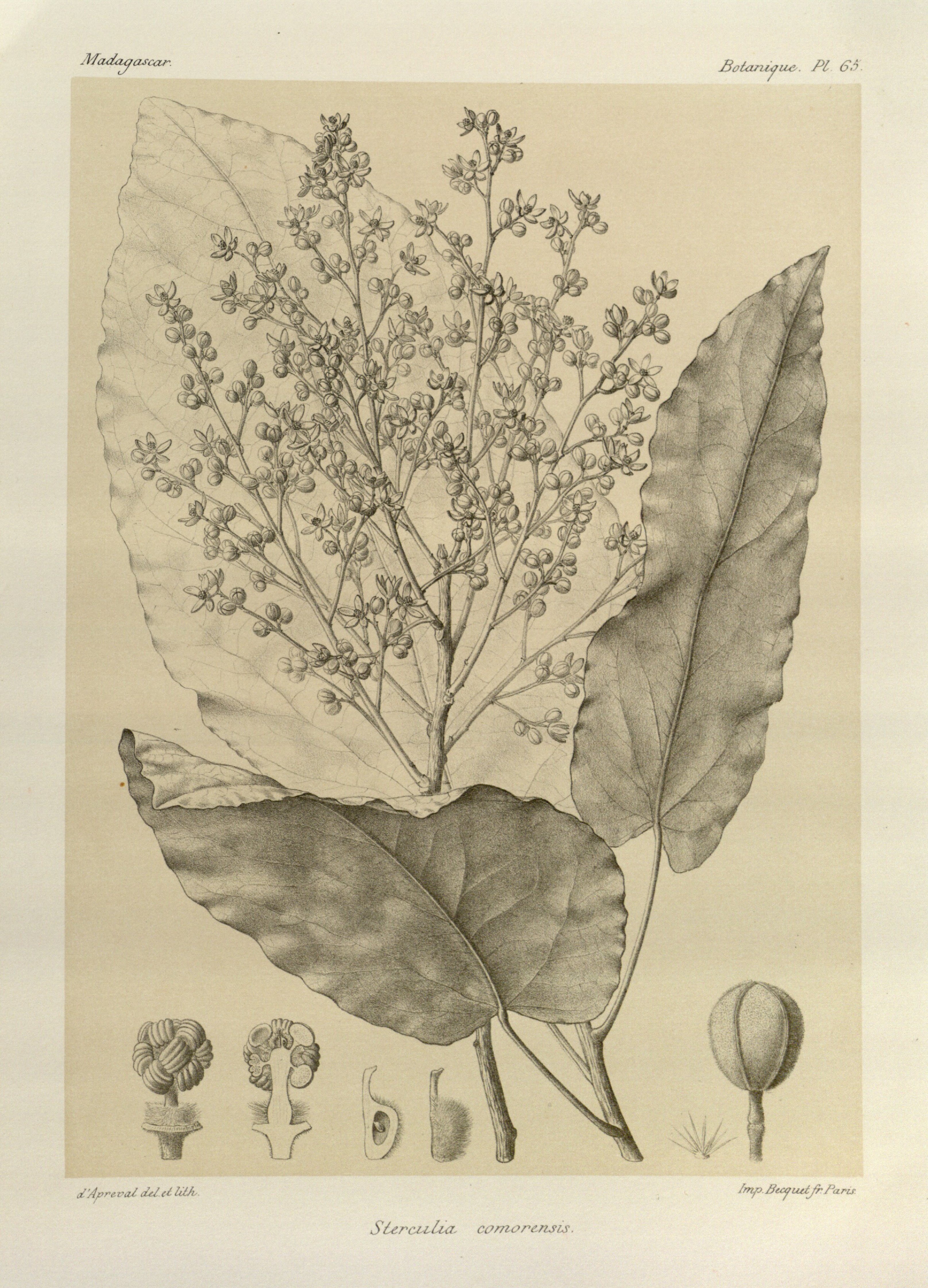 no full size  illustration available (3a)