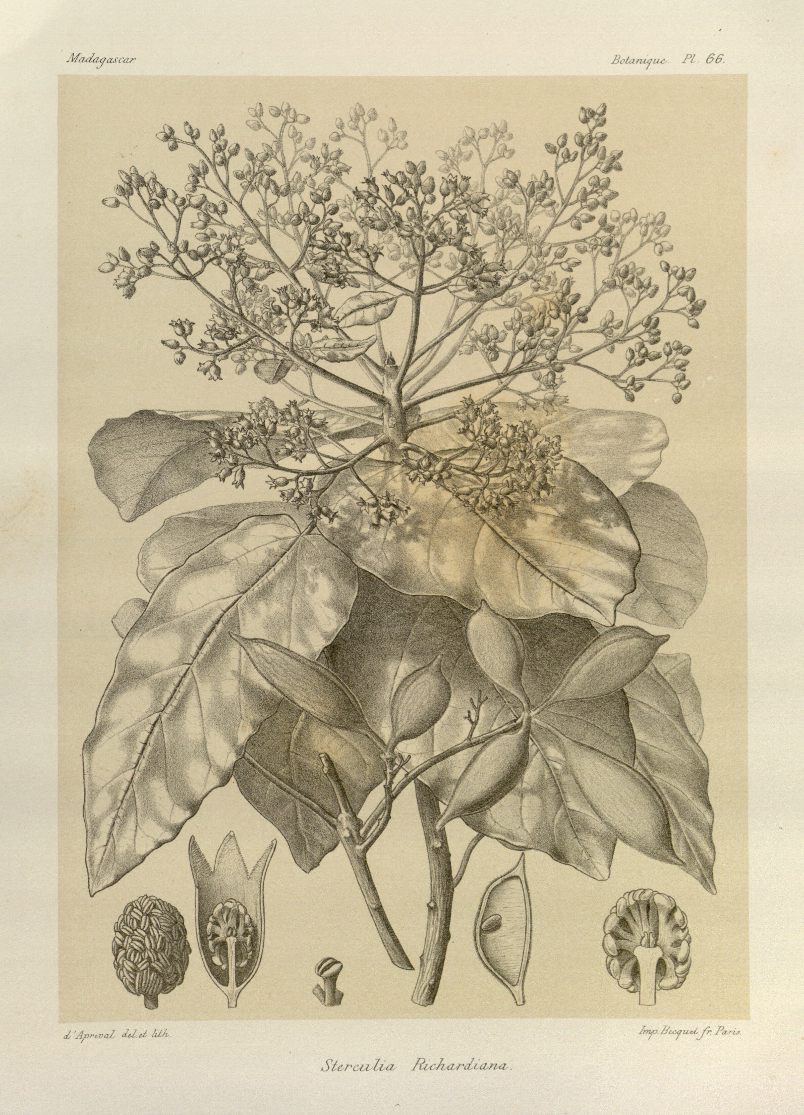 no full size  illustration available (3a)