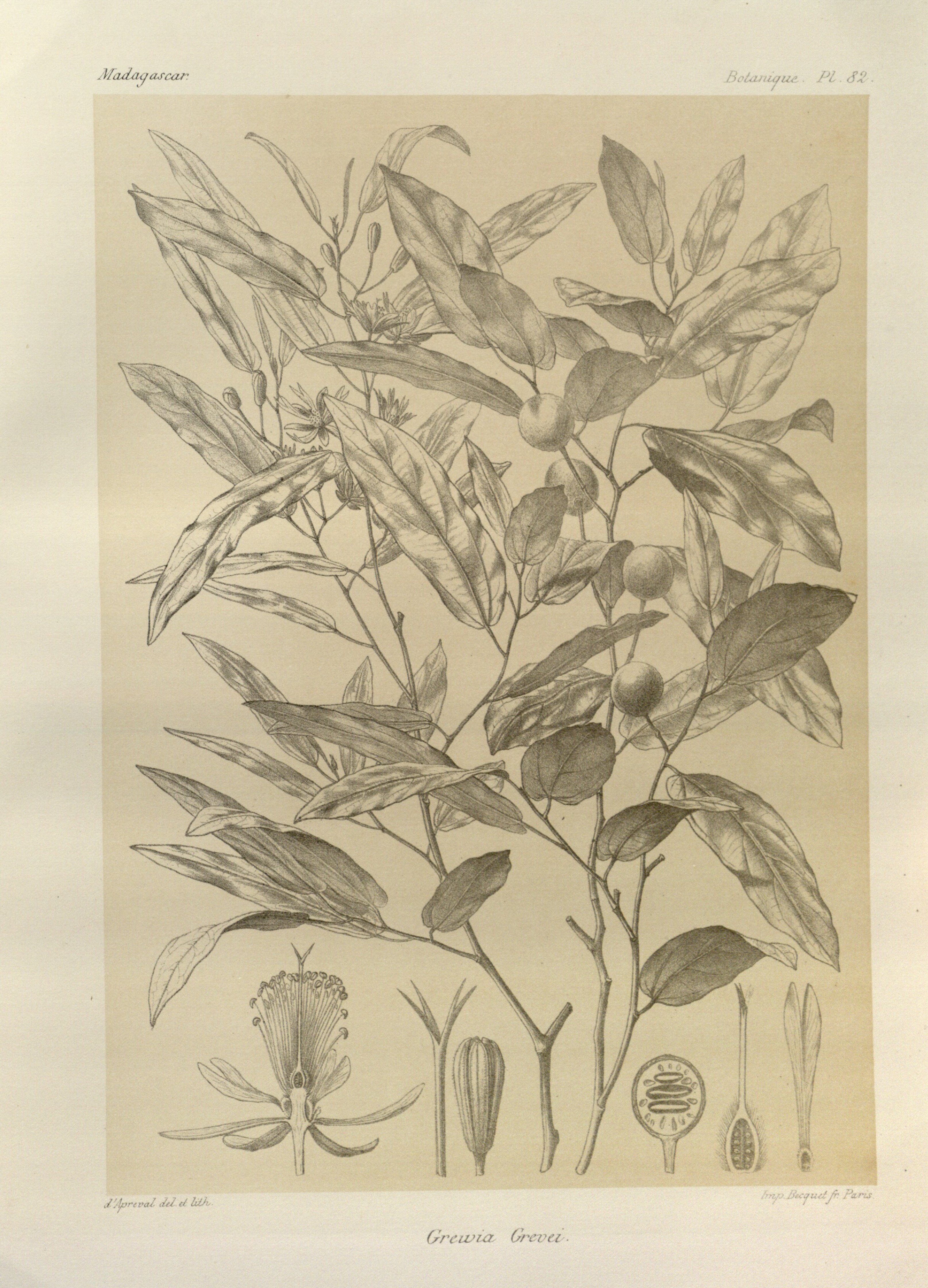 no full size  illustration available (3a)