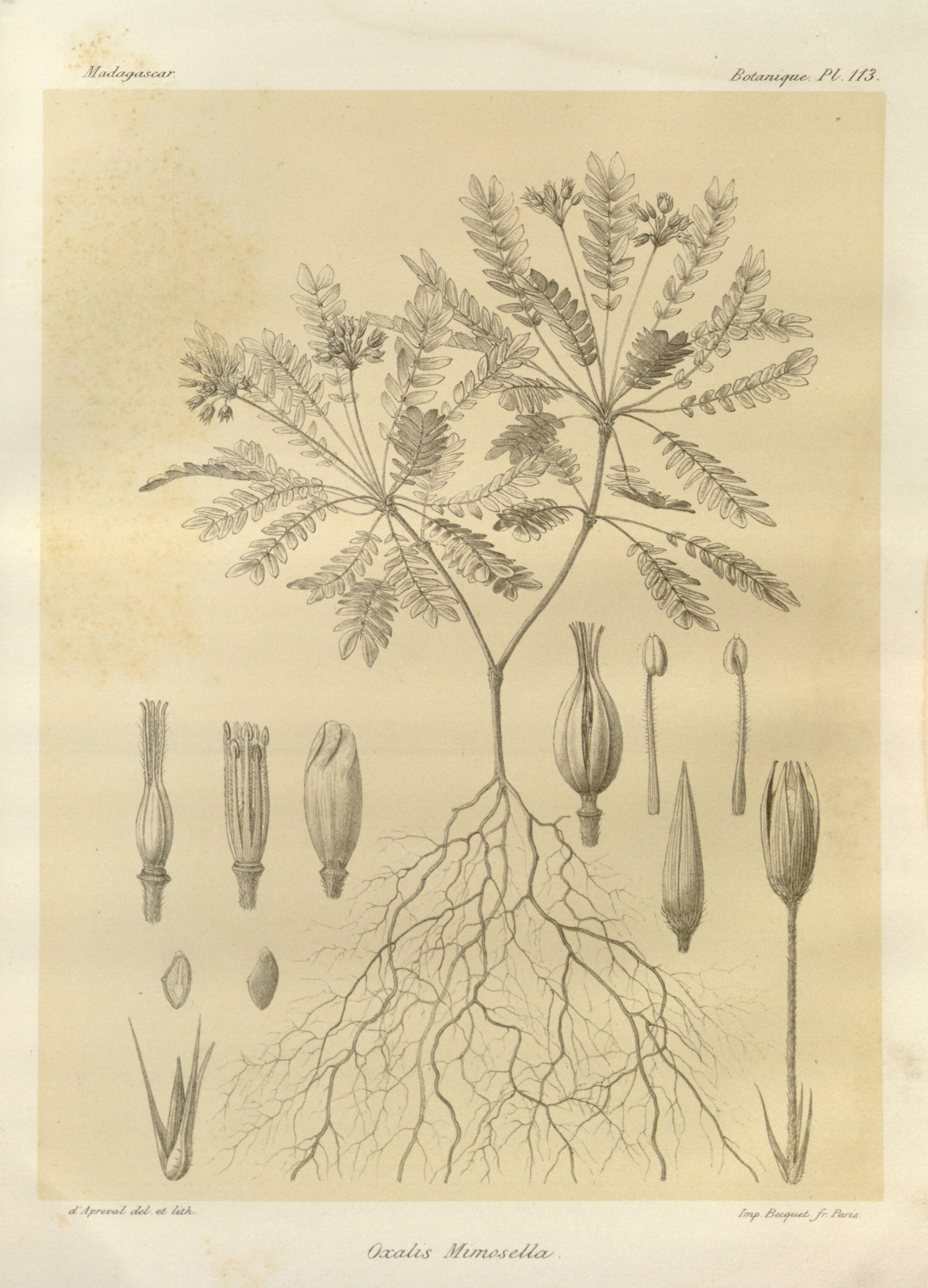 no full size  illustration available (3a)