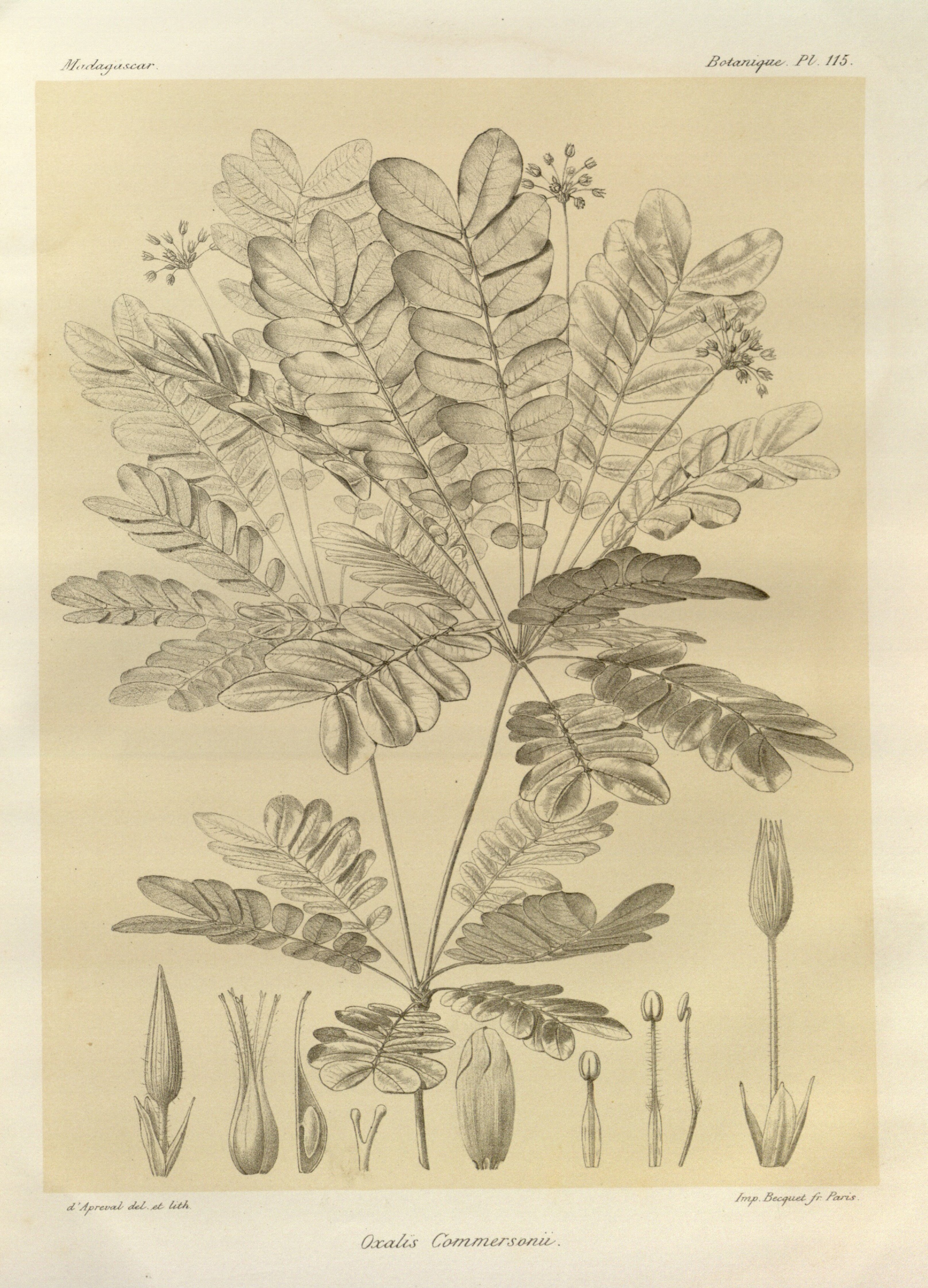 no full size  illustration available (3a)