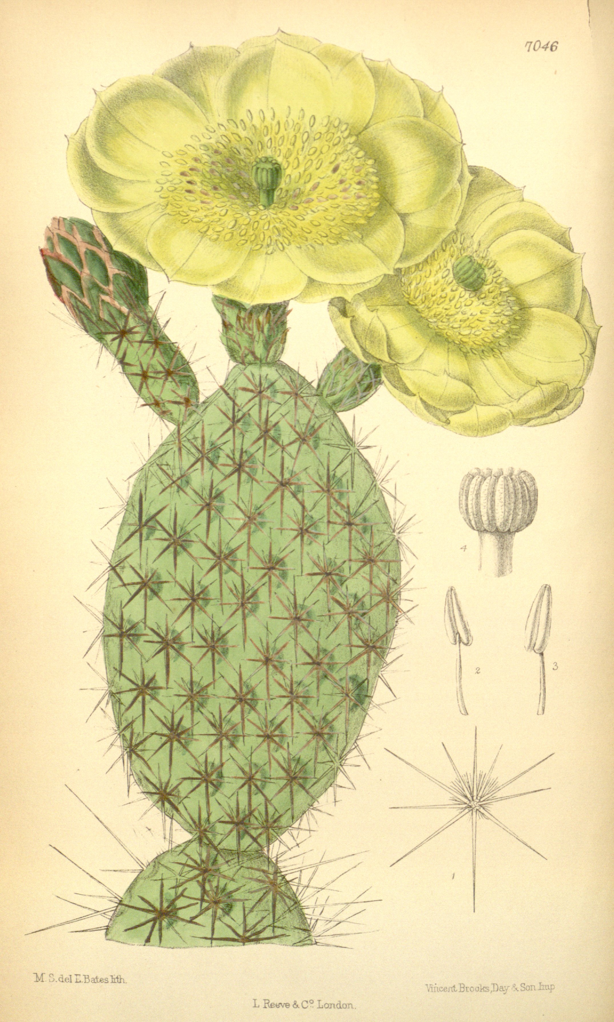 no full size  illustration available (3a)