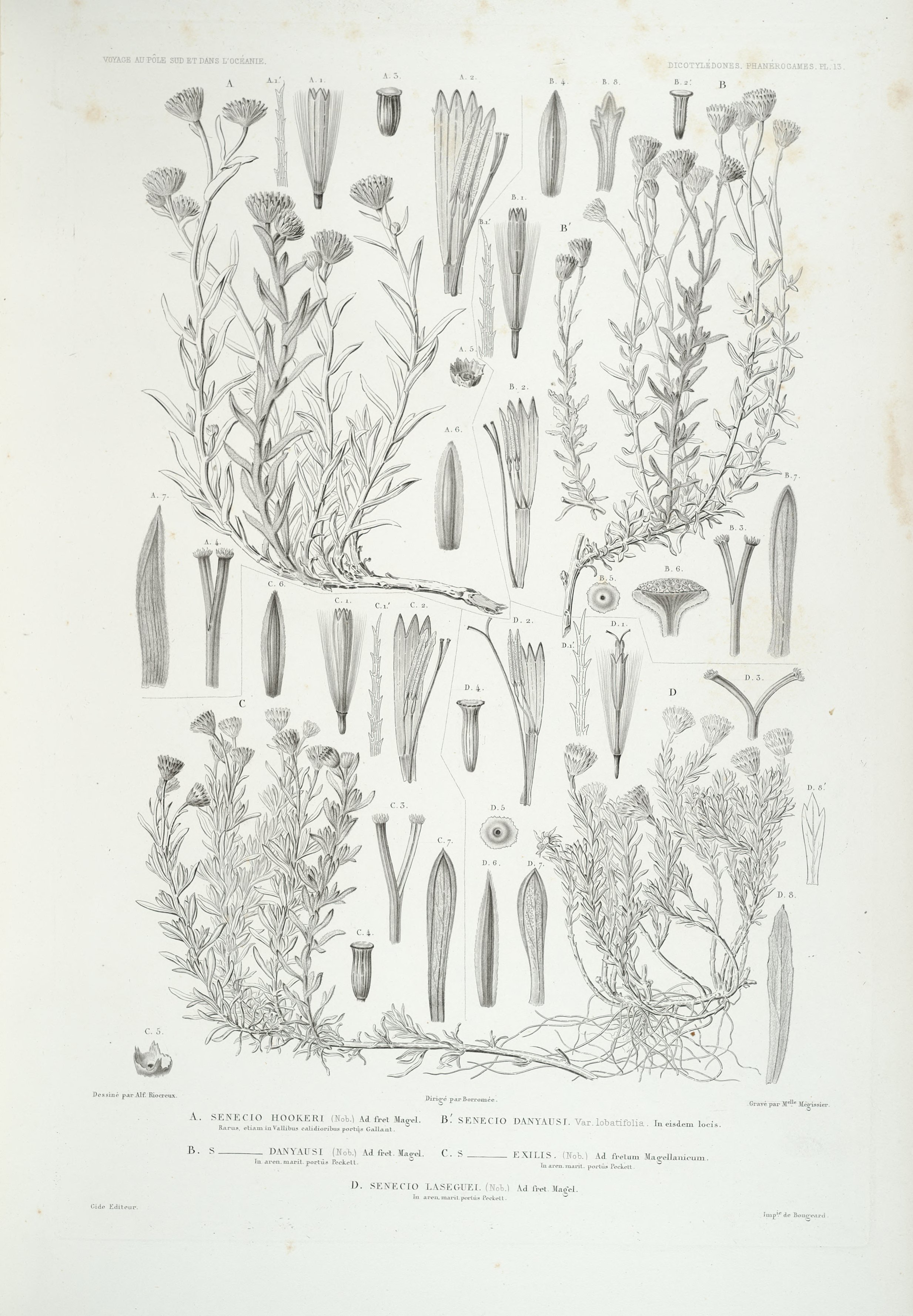 no full size  illustration available (3a)