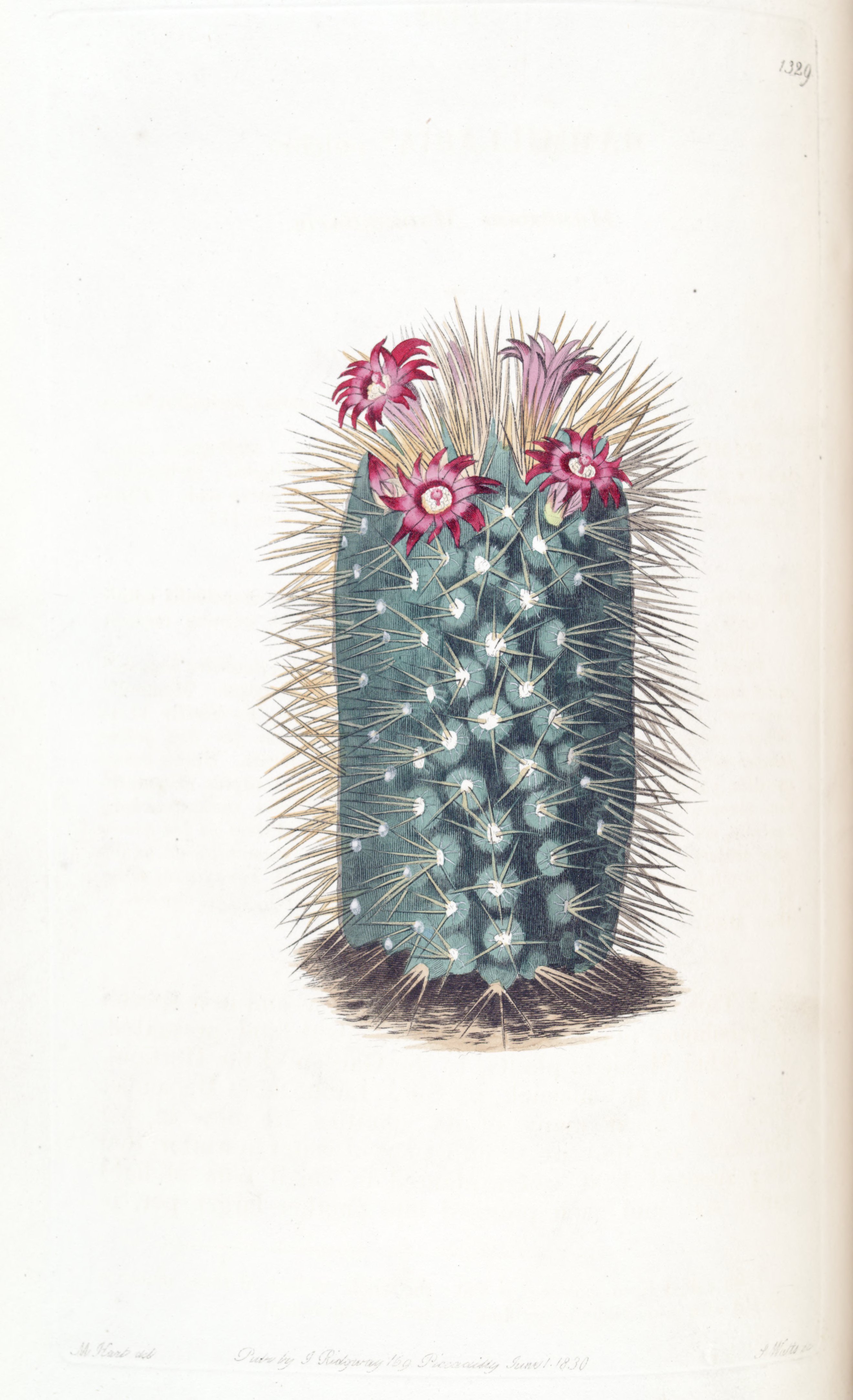 no full size  illustration available (3a)