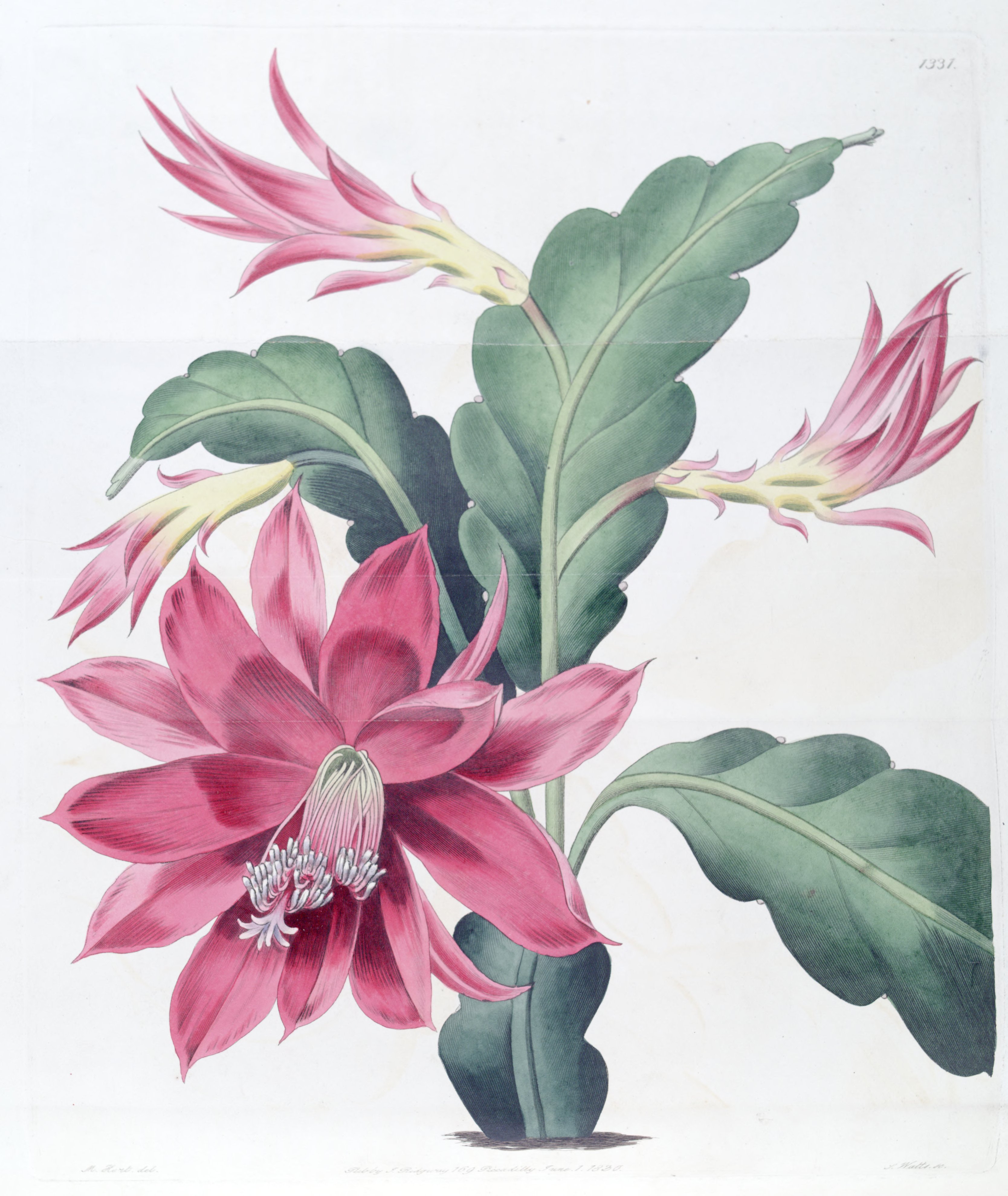 no full size  illustration available (3a)