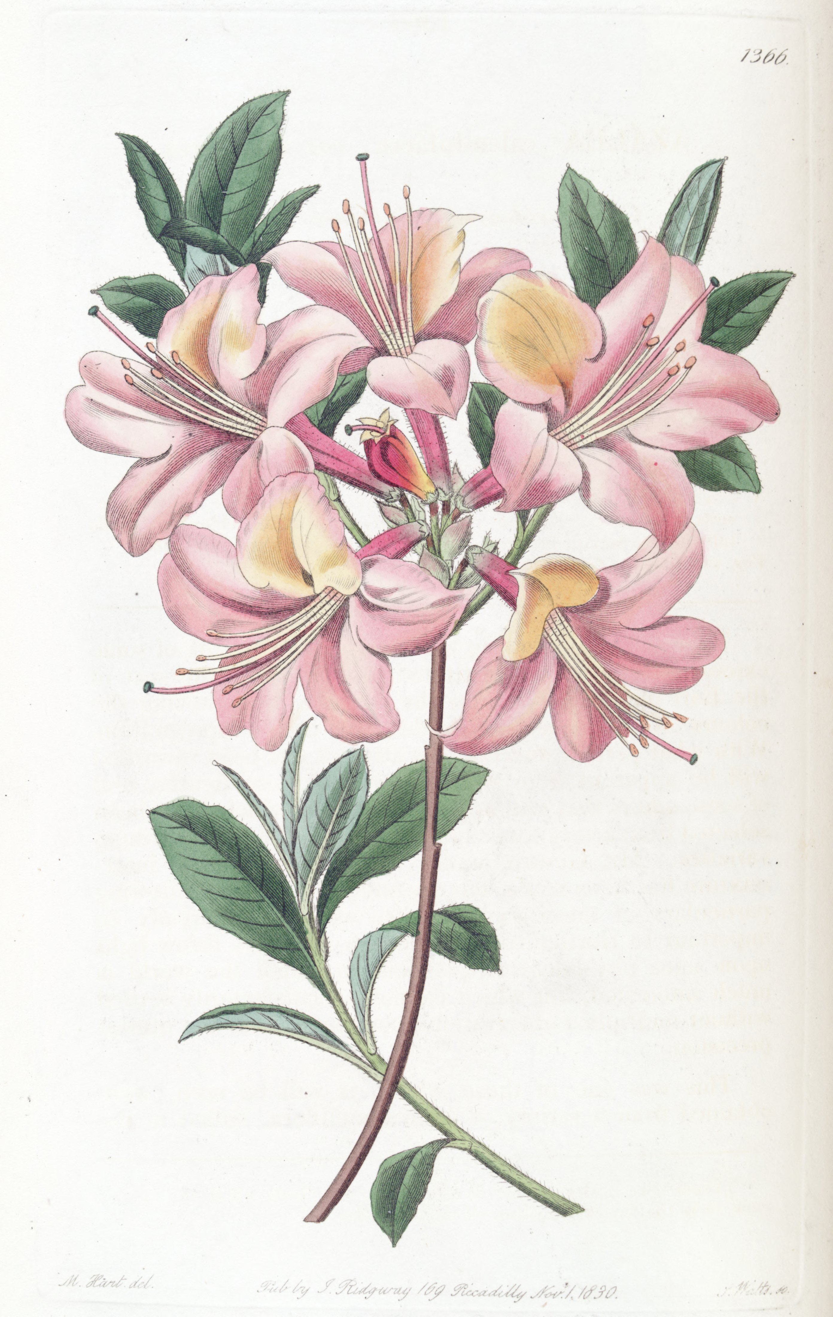 no full size  illustration available (3a)