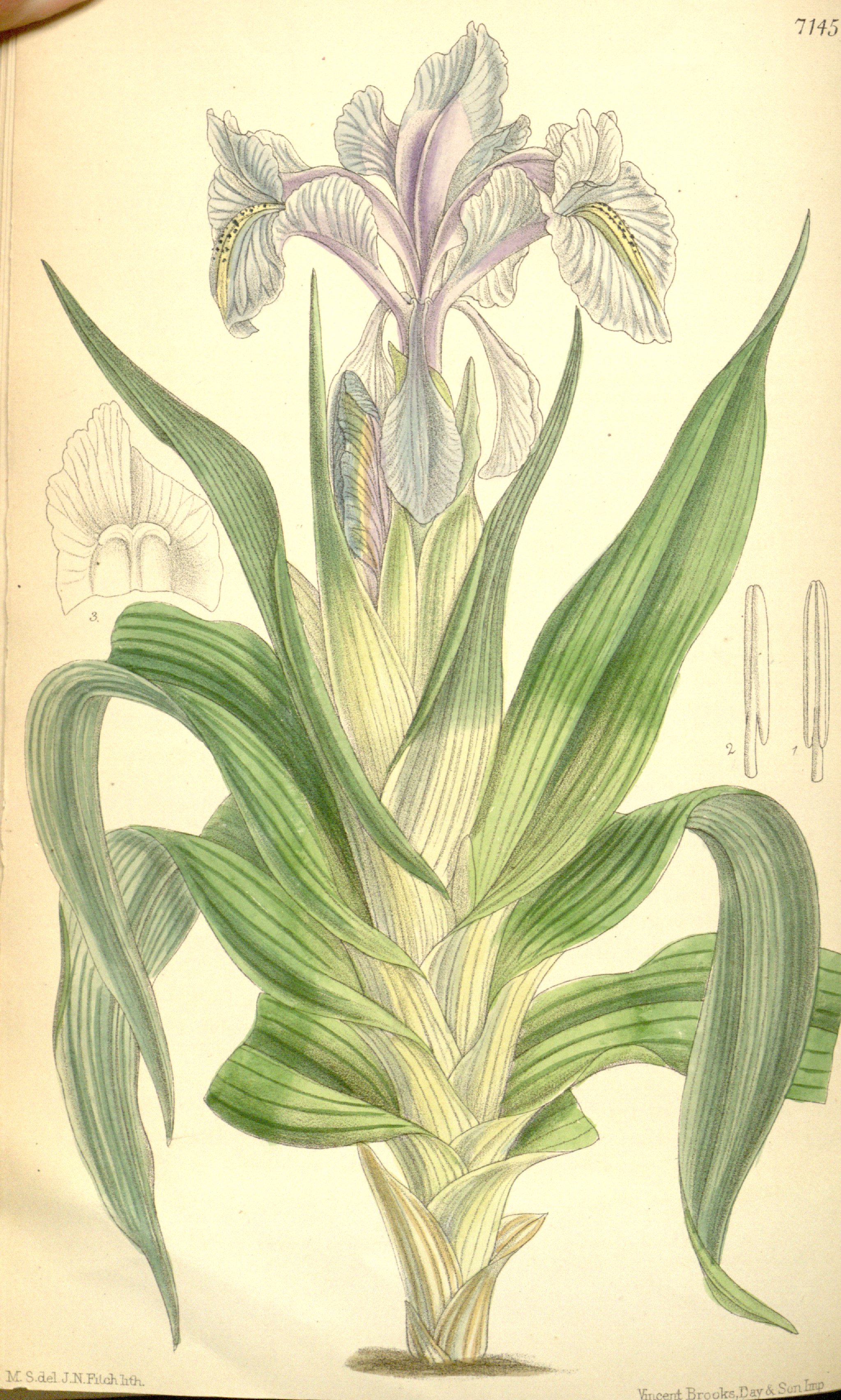 no full size  illustration available (3a)