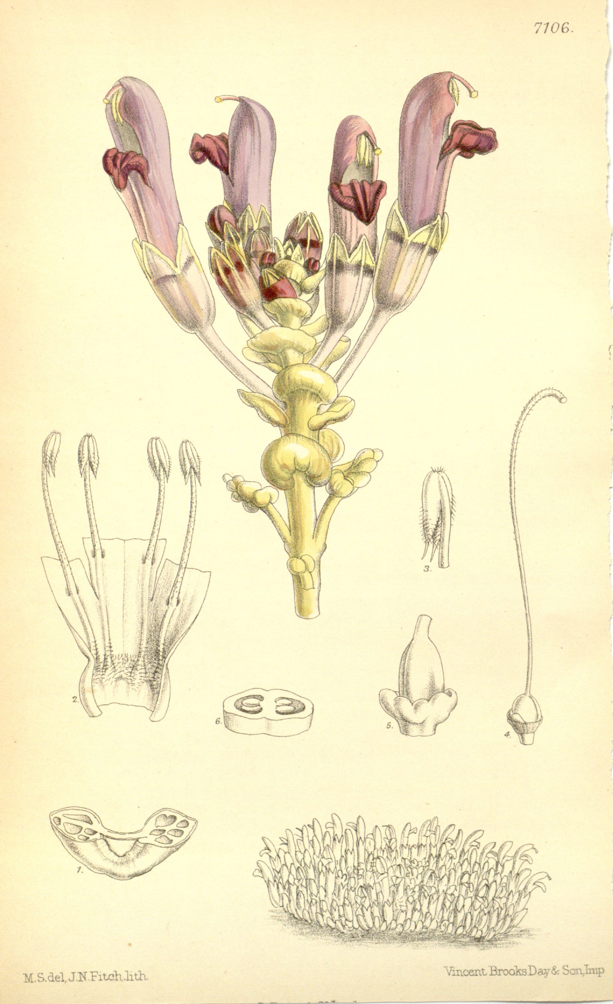 no full size  illustration available (3a)