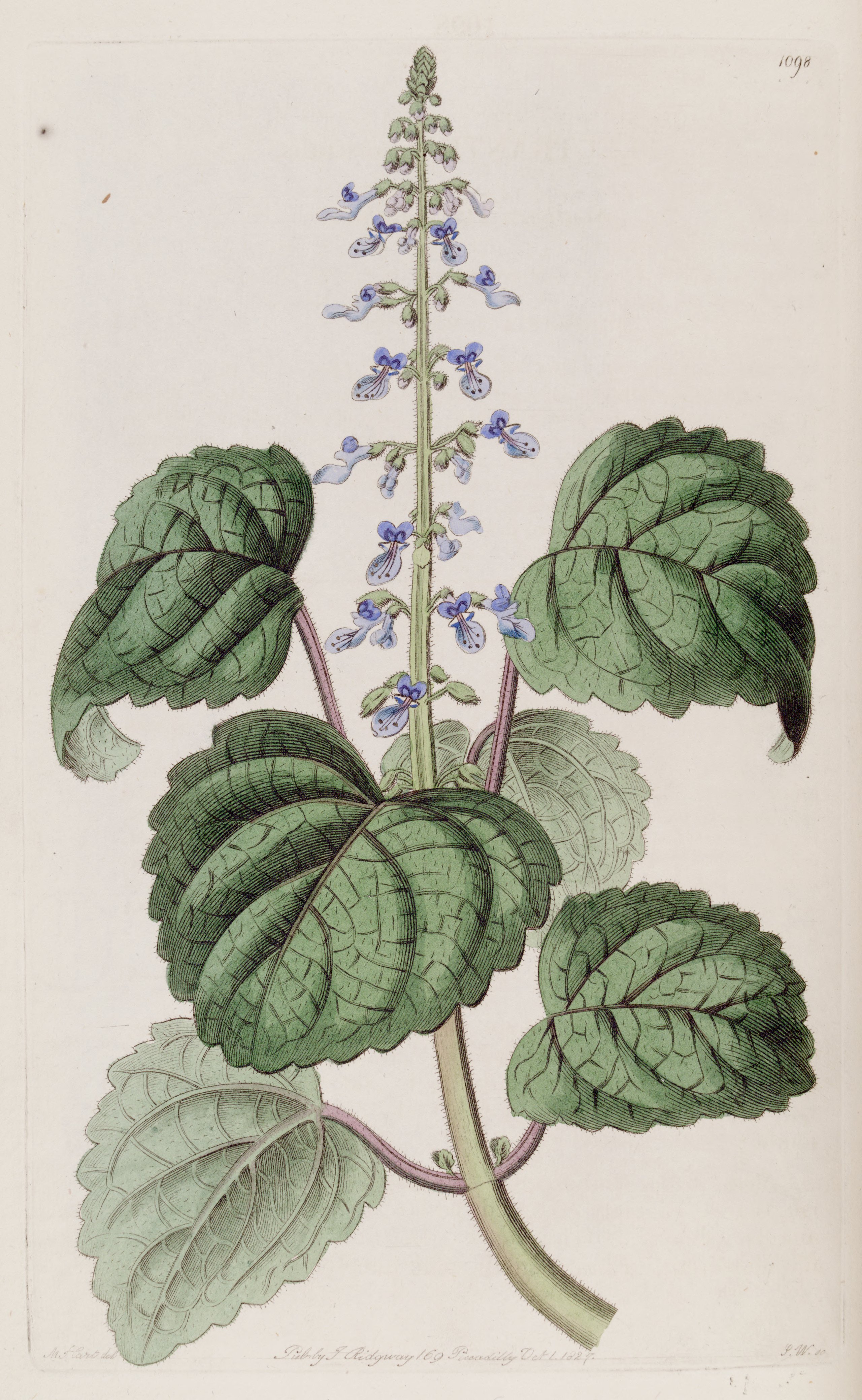 no full size  illustration available (3a)