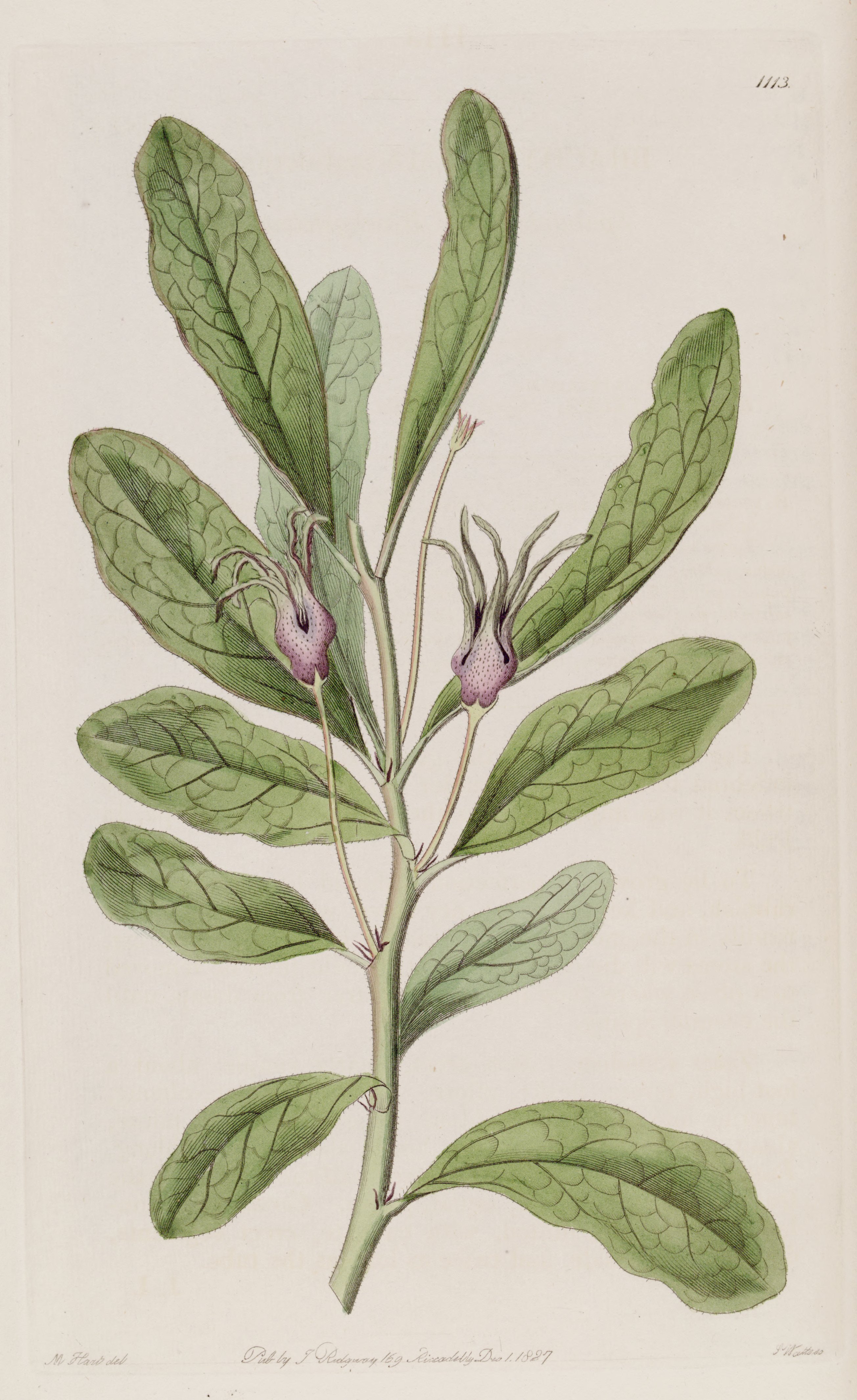 no full size  illustration available (3a)