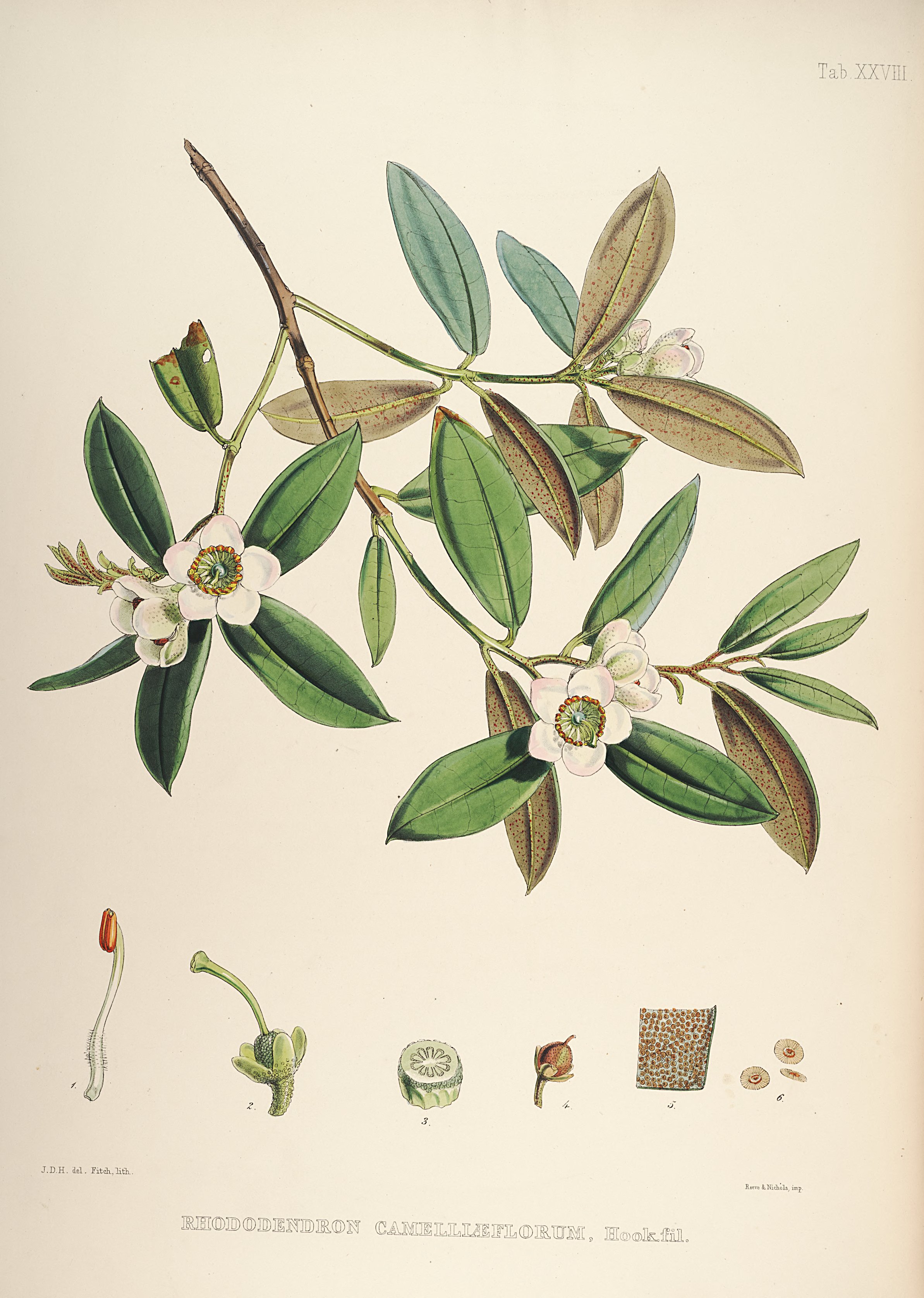 no full size  illustration available (3a)